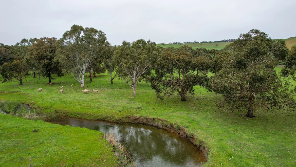Additional image 11 of 649 Coleraine - Balmoral Road, Wootong Vale VIC 3315