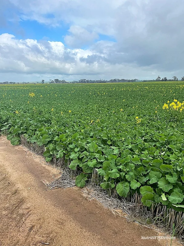 . 'Jurocken & Corrylyn', Dowerin WA 6461