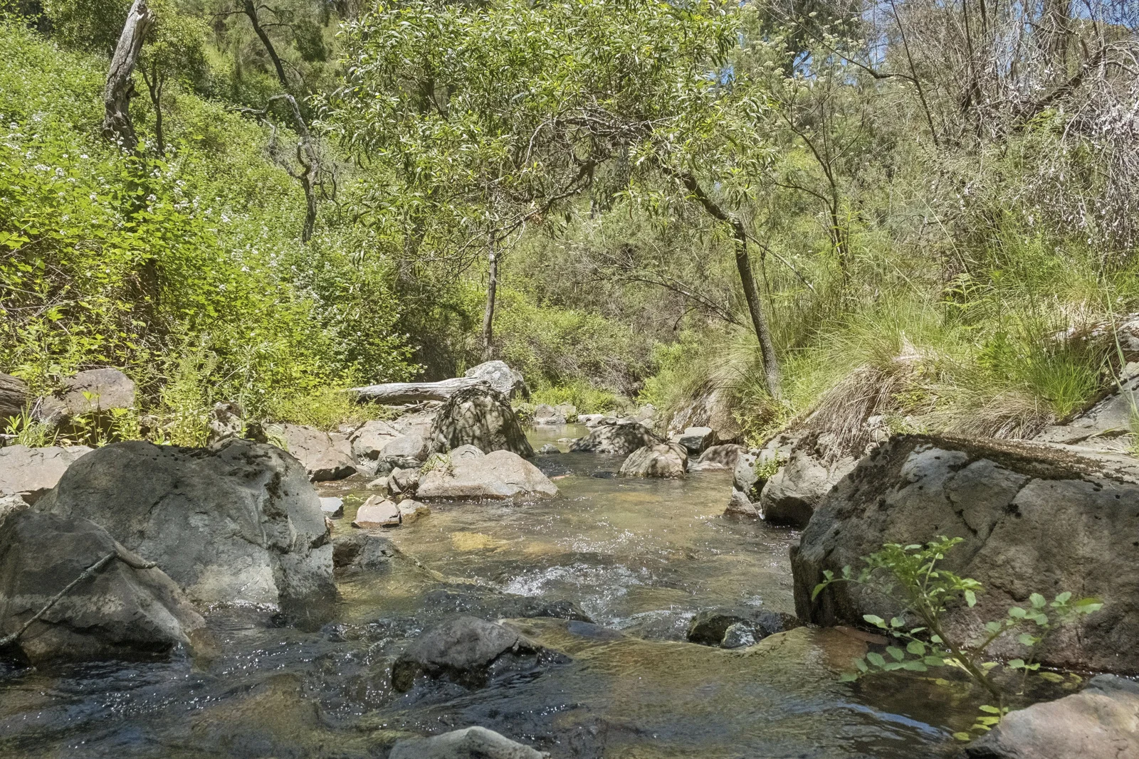 Additional image 2 of 321 Log Bridge Creek Road, Wee Jasper NSW 2582