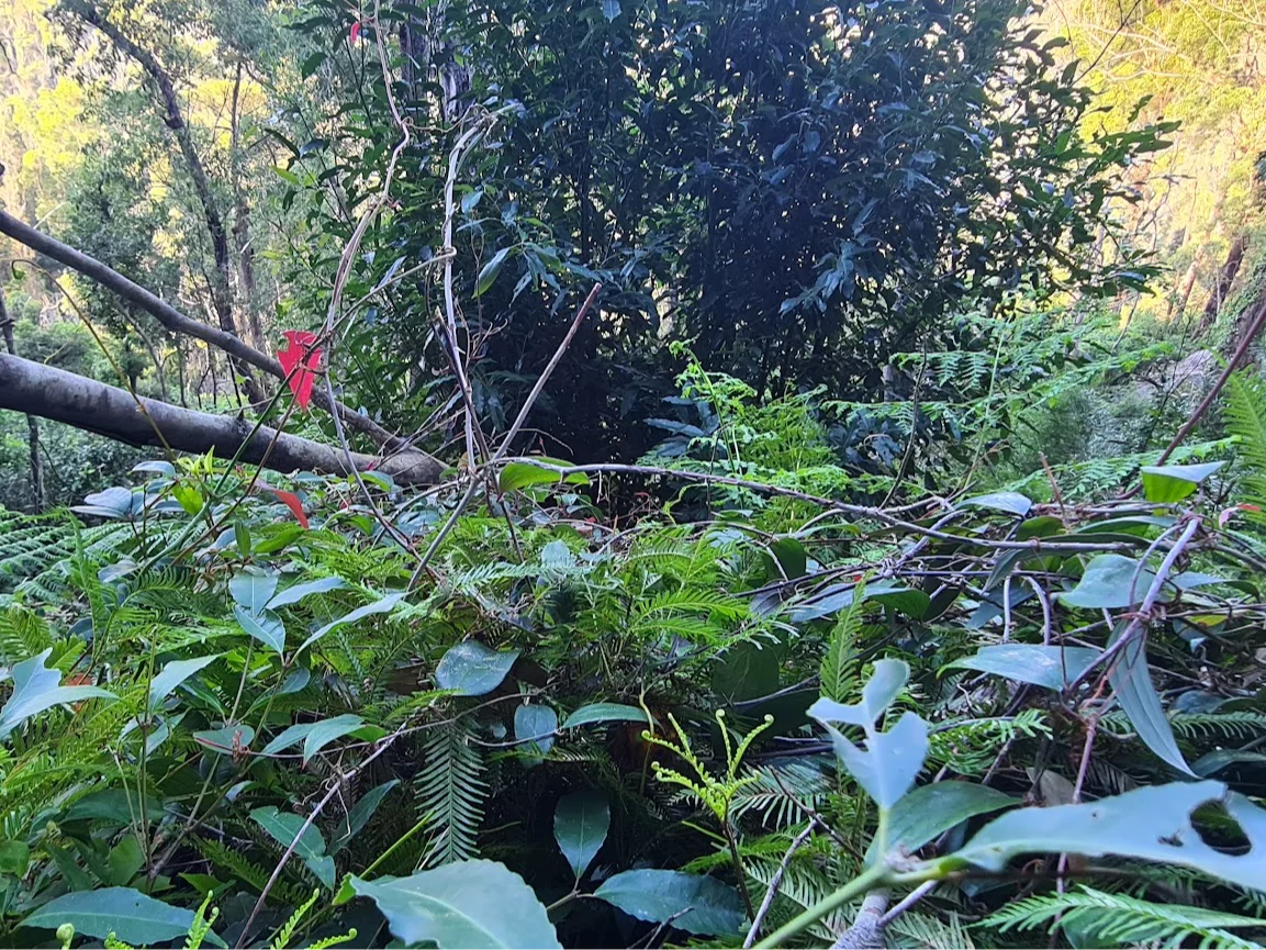 Additional image 20 of Illaroo NSW 2540