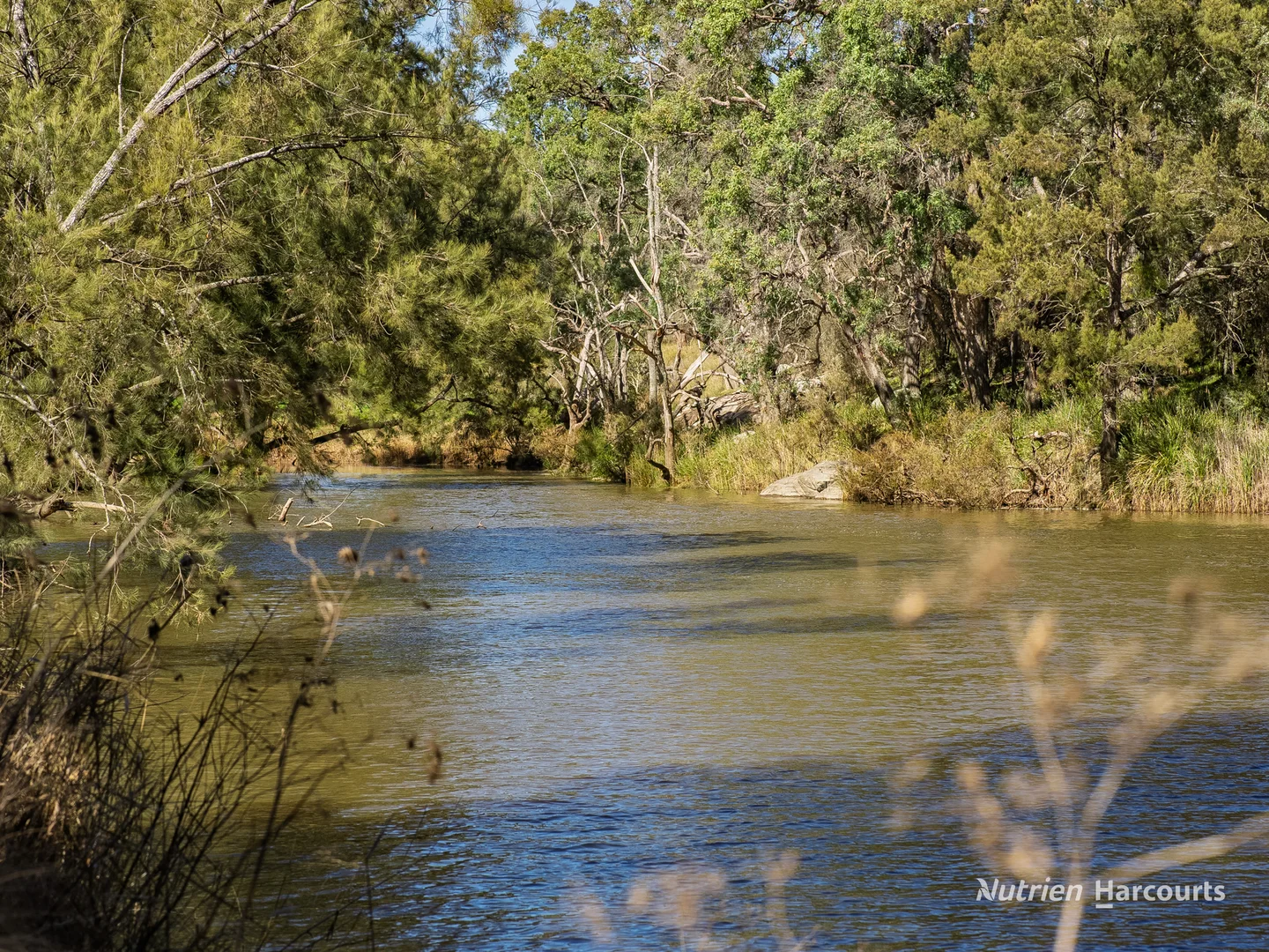 Additional image 16 of 206 - 208 Rocky Glen Road, Kingstown NSW 2358