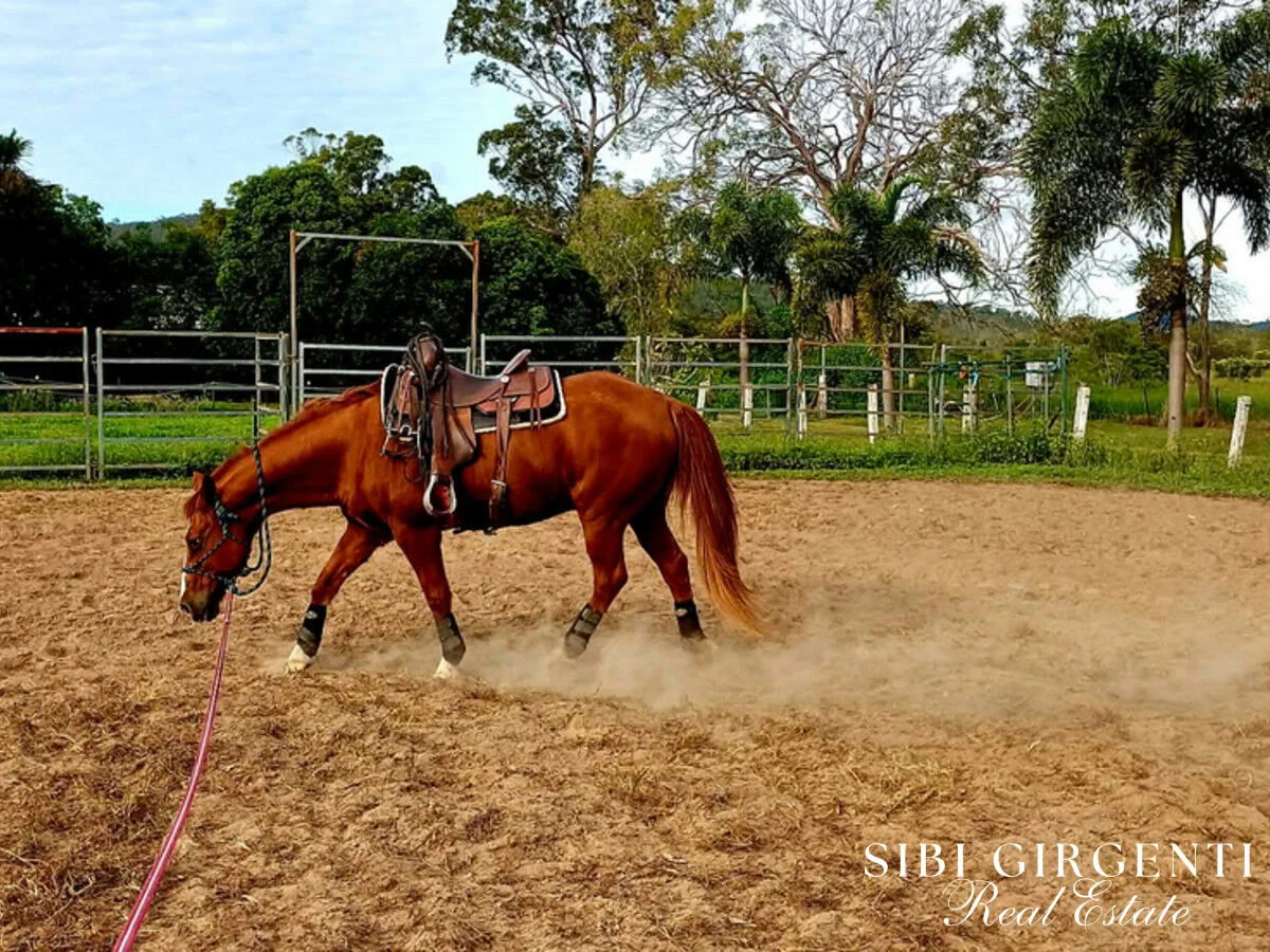 Additional image 26 of 386 Koah Road, Koah QLD 4881