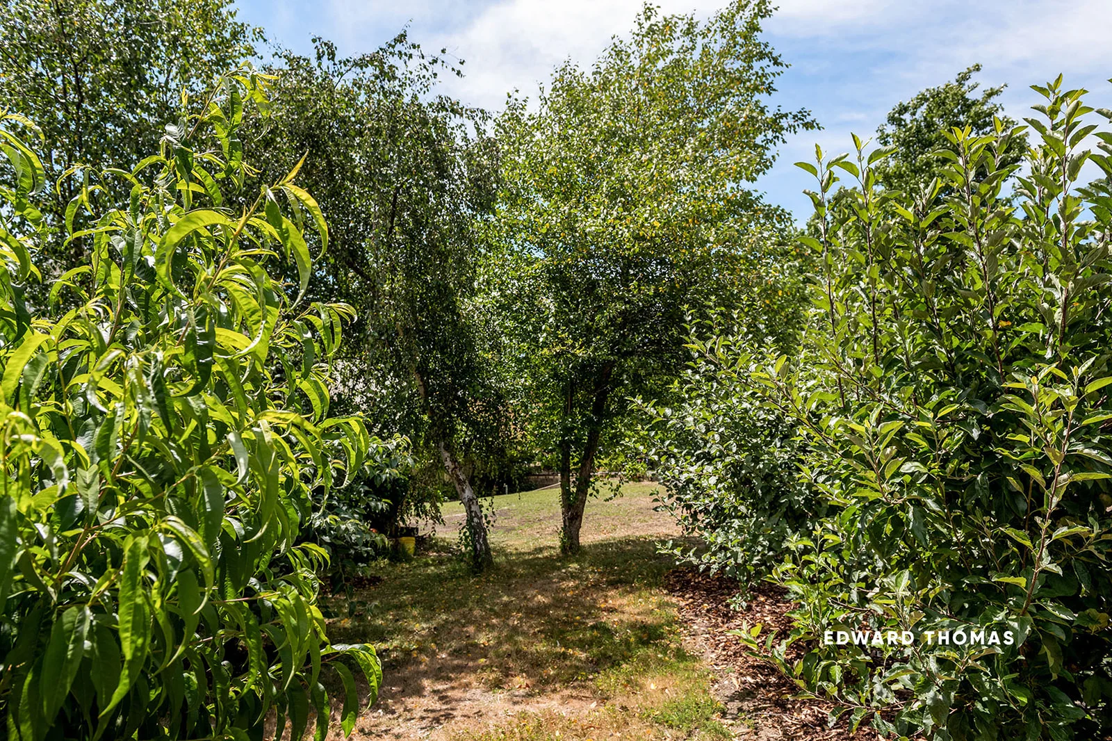 Additional image 37 of 133 Shannons Road, Mount Macedon VIC 3441
