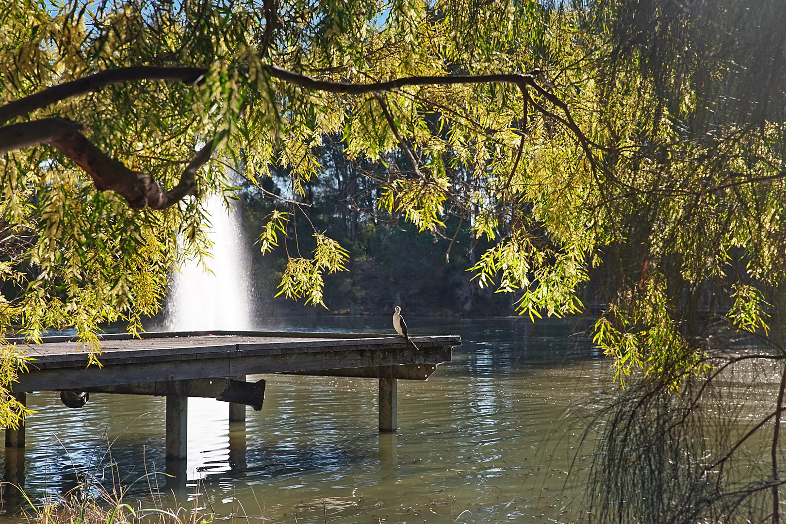 Additional image 10 of 8 Guillemot Street, Cranebrook NSW 2749