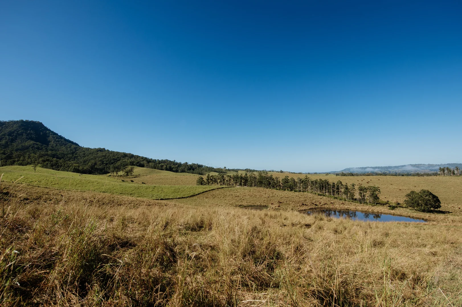 Additional image 4 of Lynches Creek Road, Wiangaree NSW 2474