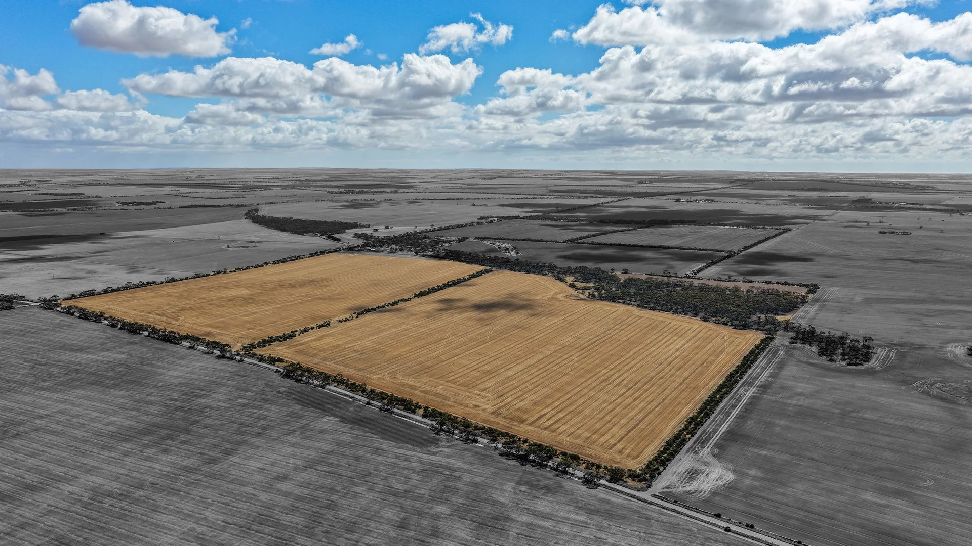 Additional image 7 of Proposed Lot 2/313 Pridham Road, Kainton SA 5552