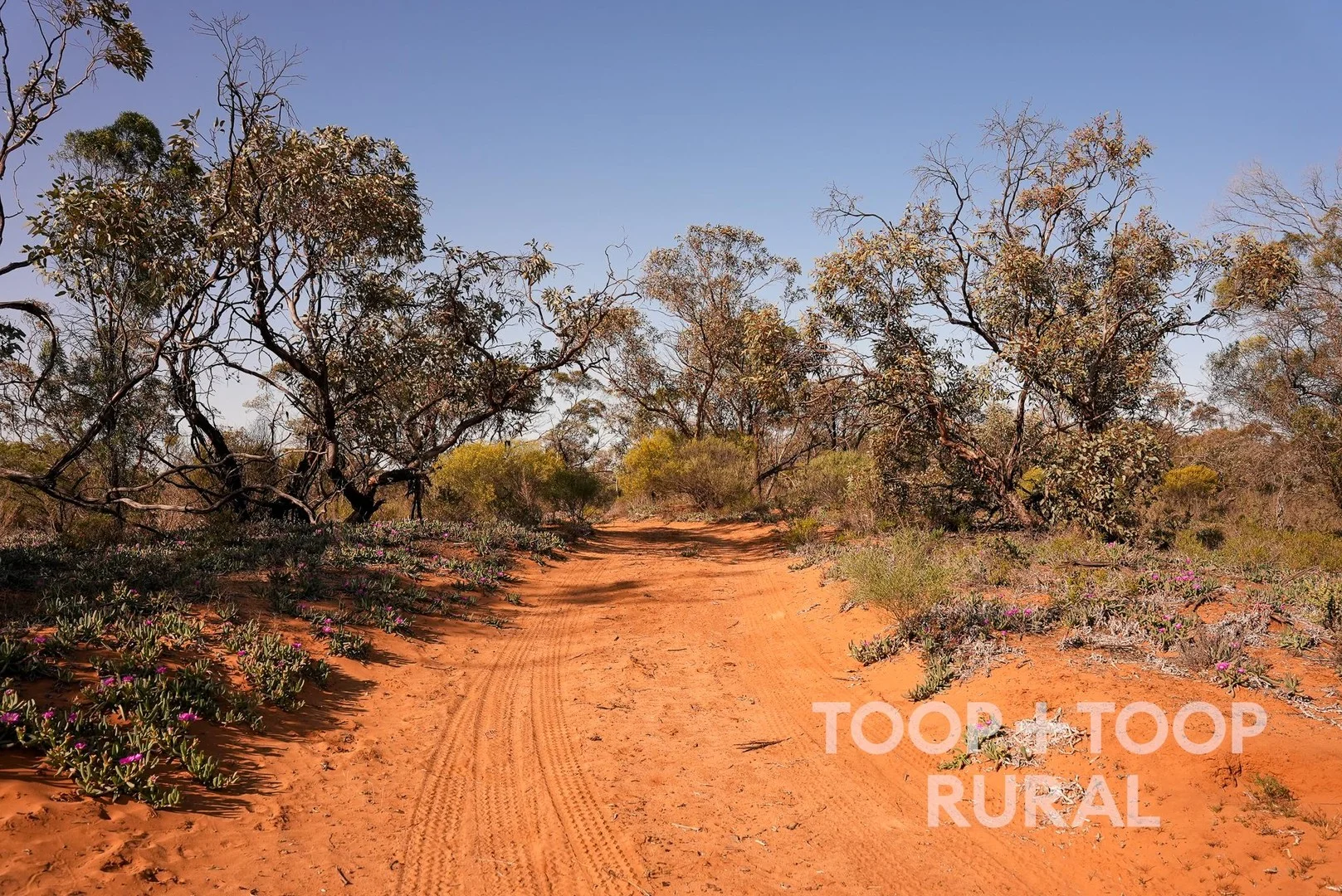 Additional image 9 of 1265 Warnecke Road, Monash SA 5342