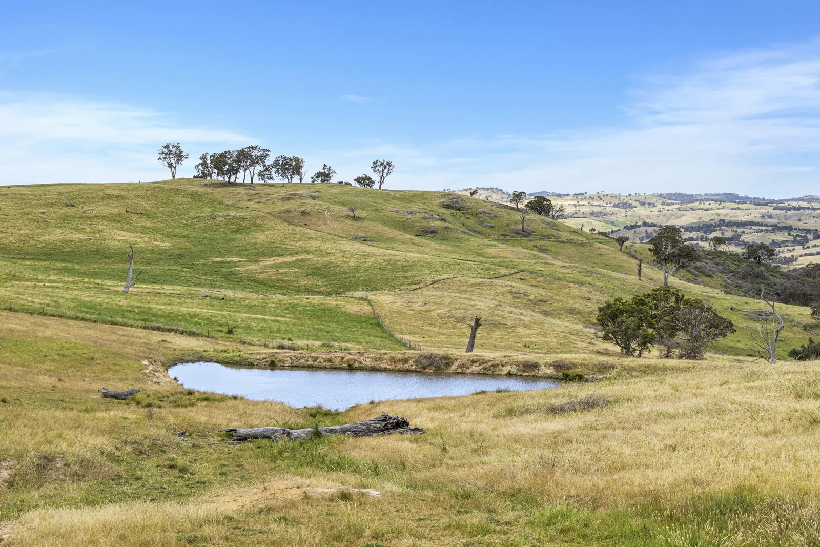 Additional image 7 of Lot 1/414 Horseshoe Rd, Mullion NSW 2582