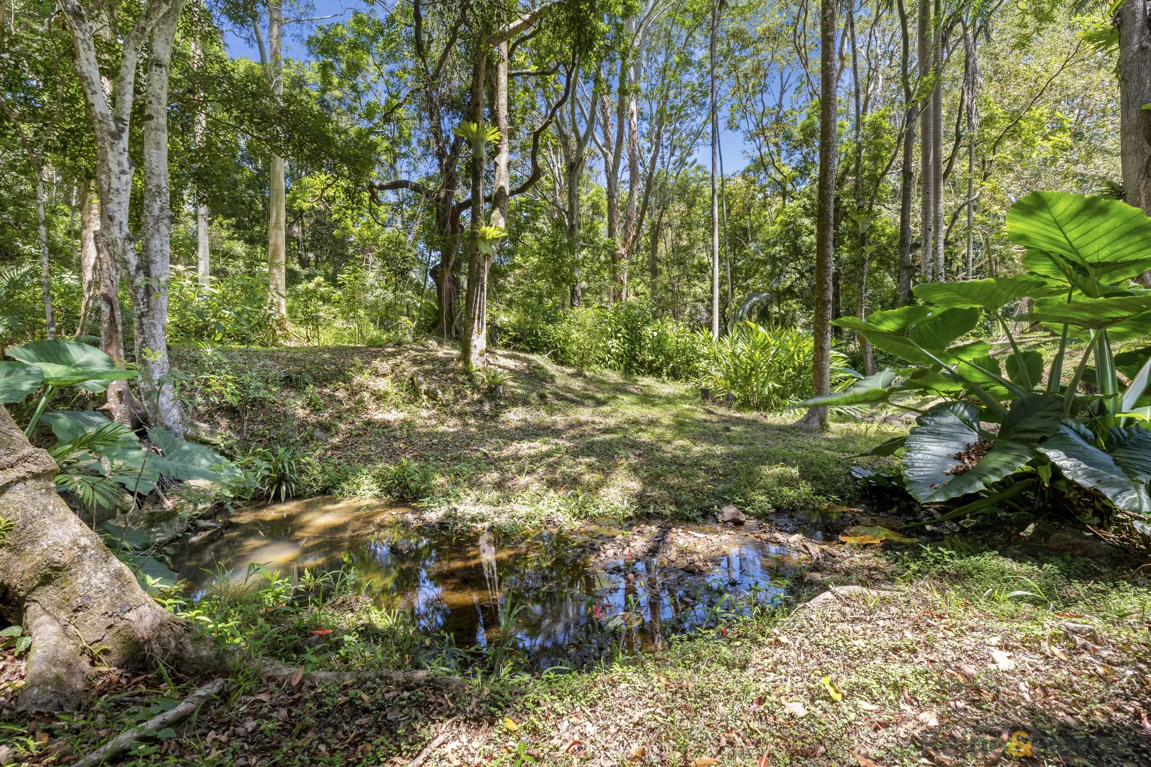 Additional image 11 of 126 Harwood Road, Burringbar NSW 2483