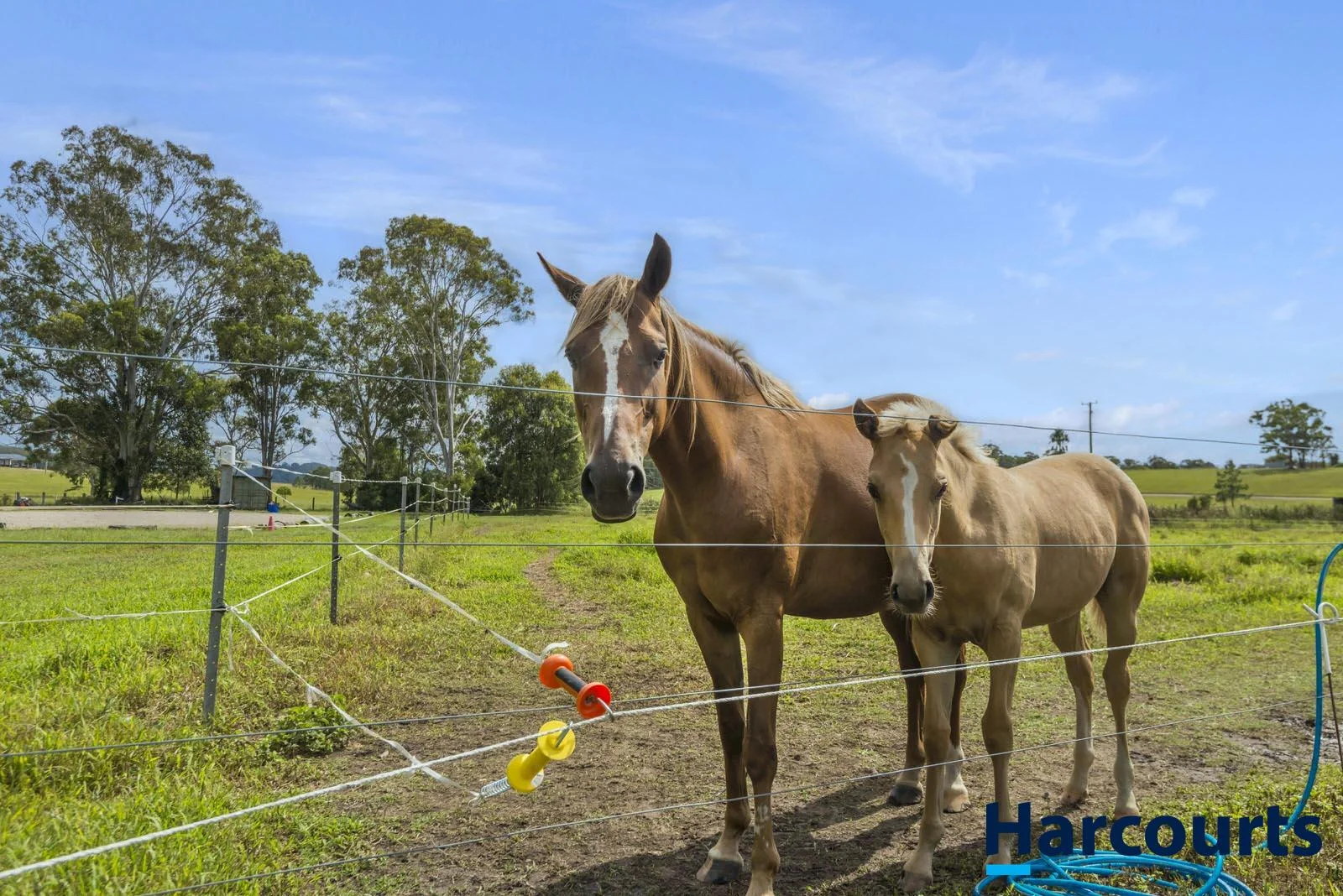 Additional image 37 of 406 Old Bagotville Road, Bagotville NSW 2477