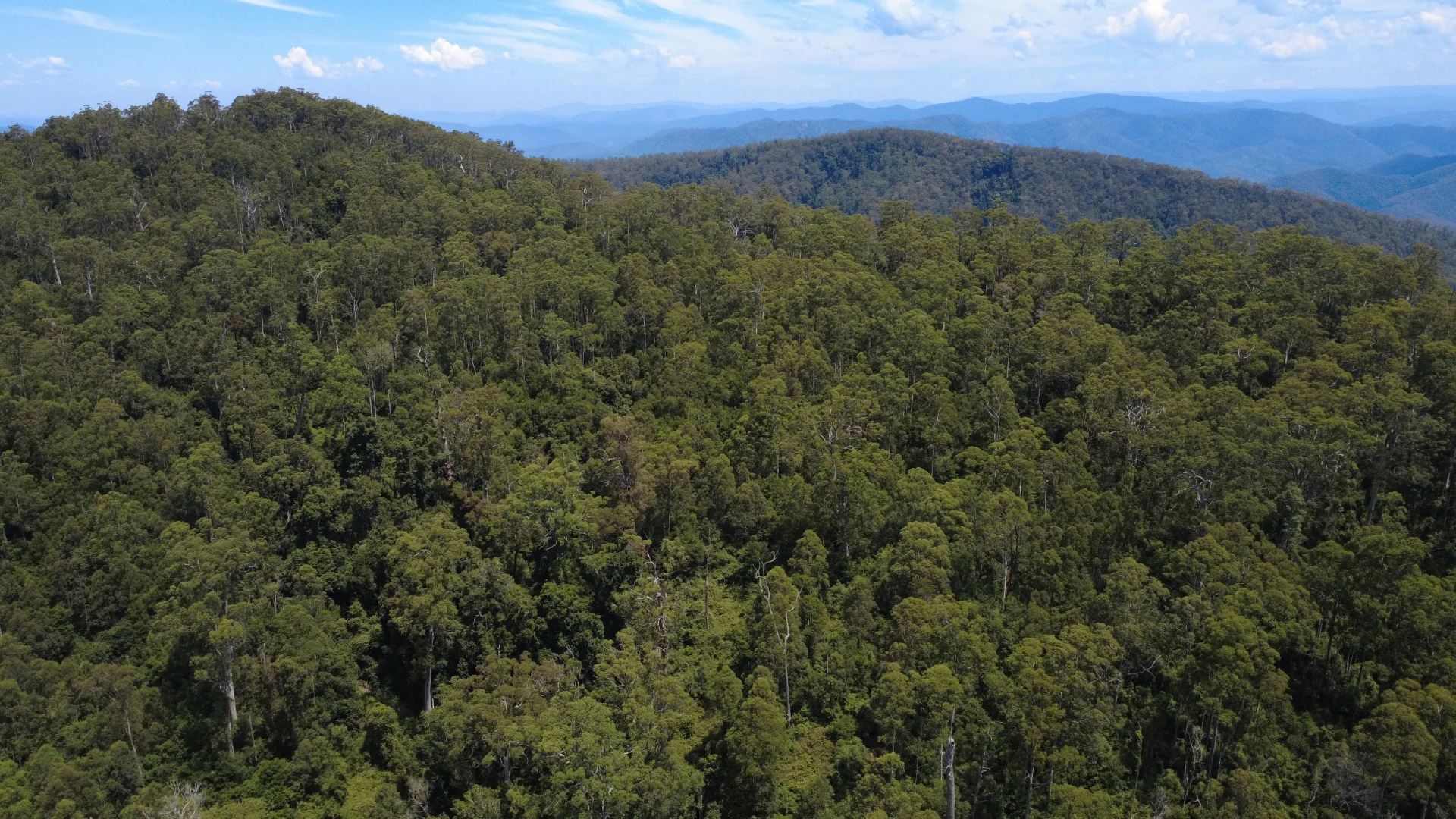 Additional image 25 of Baxters Ridge Road, Gloucester NSW 2422