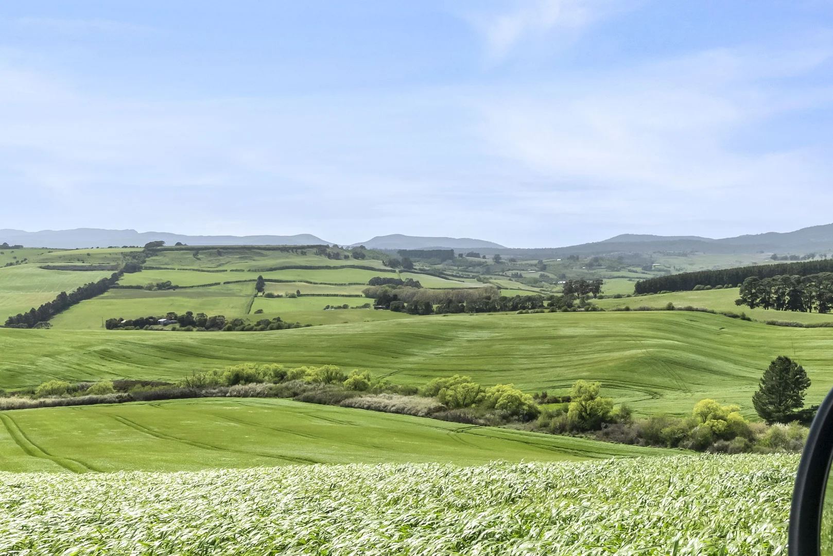 Additional image 12 of . White Hills Road, White Hills TAS 7258