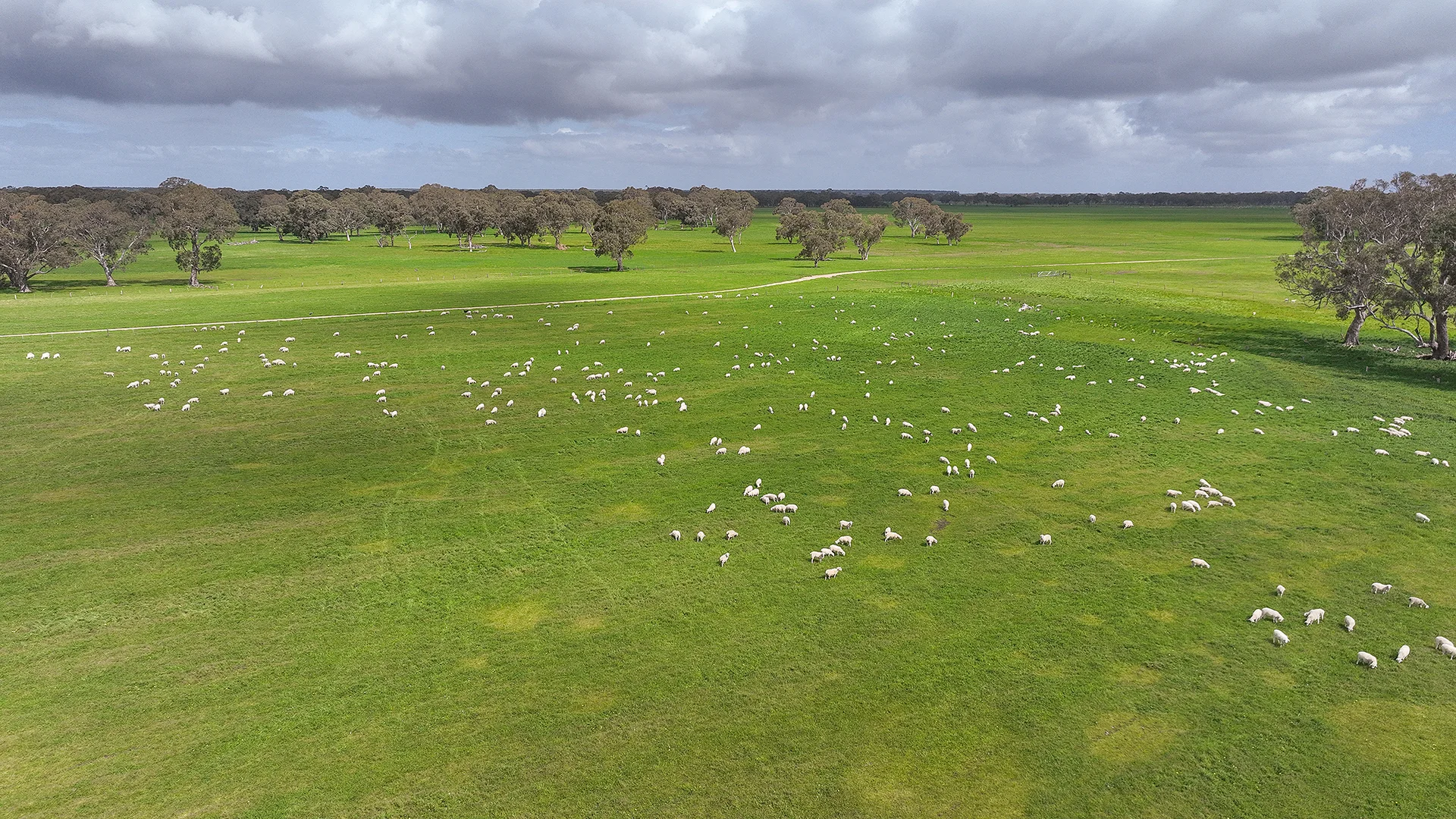 Additional image 7 of 546 Bool Lagoon West Road, Penola SA 5277