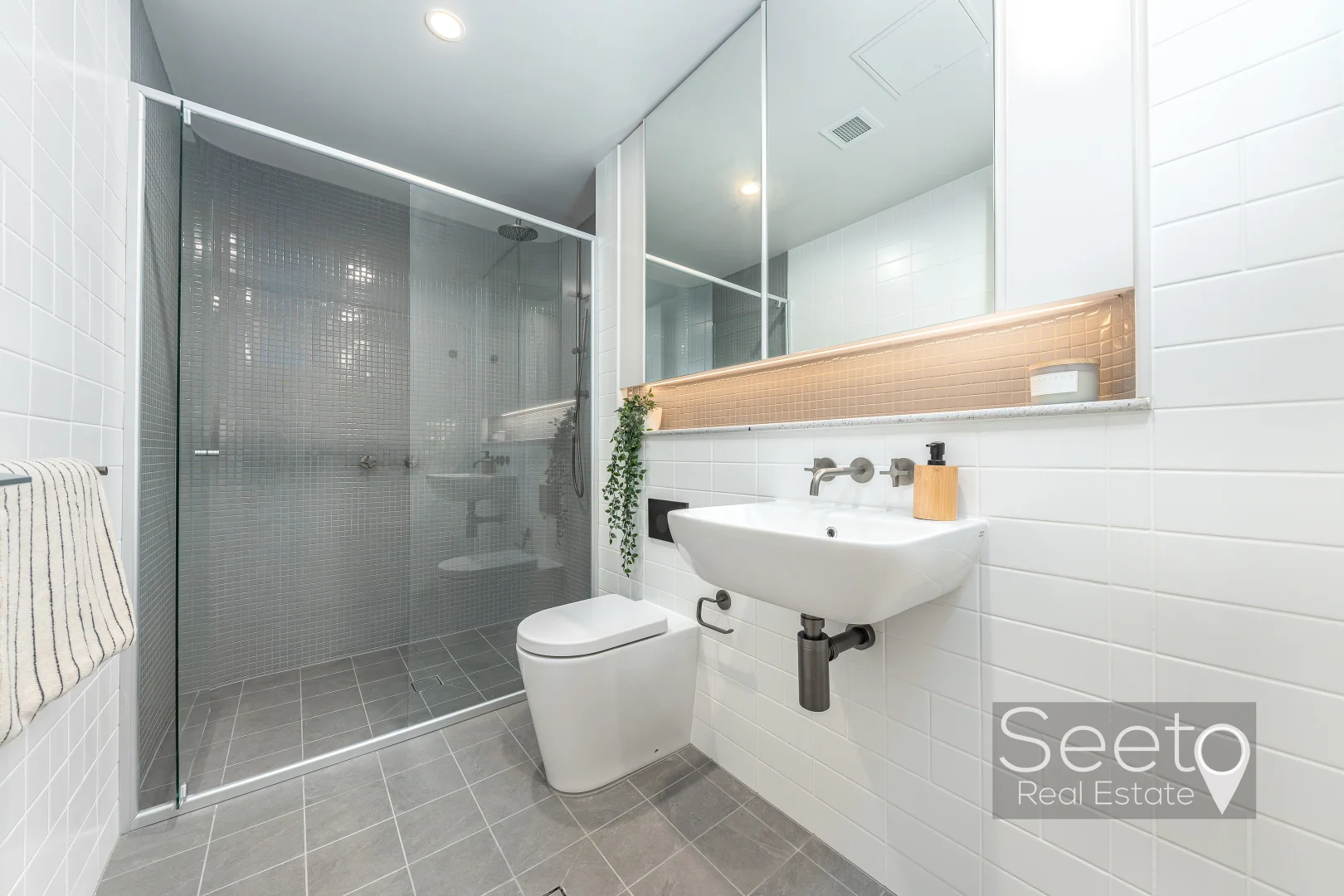 Additional image 18 of 52 Telopea Avenue, Homebush West NSW 2140