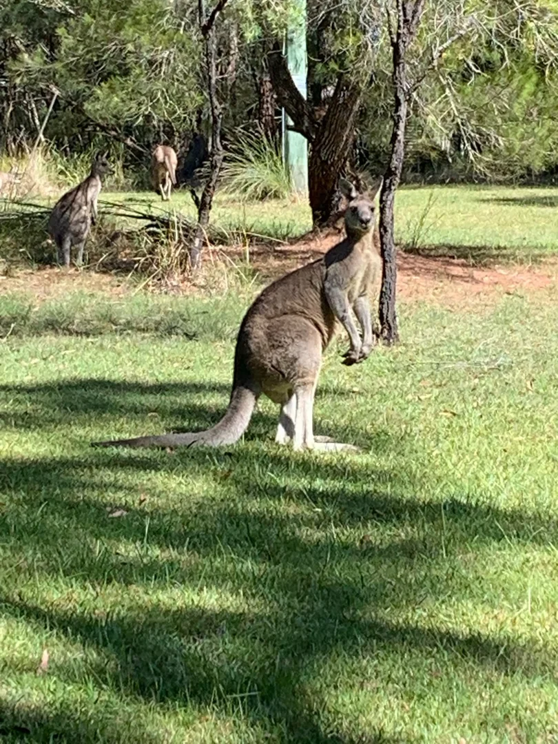 Additional image 33 of 1249 Congo Road, Moruya NSW 2537