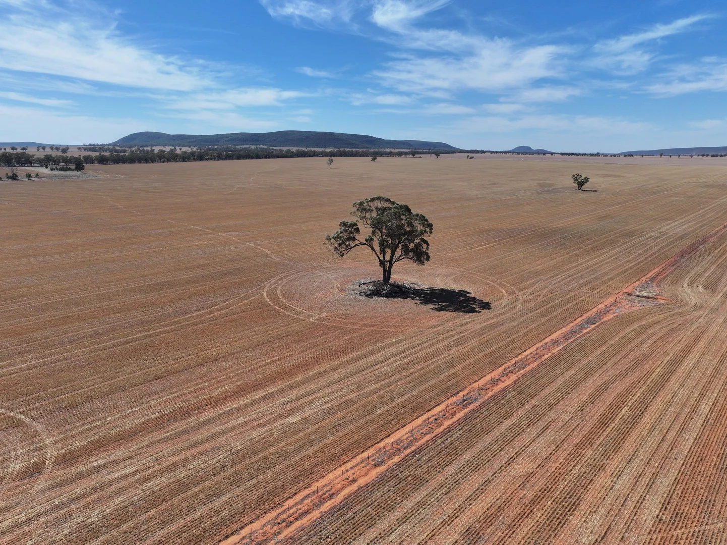 Additional image 6 of 'Nolens'  5000 Barellan Road, Colinroobie NSW 2700