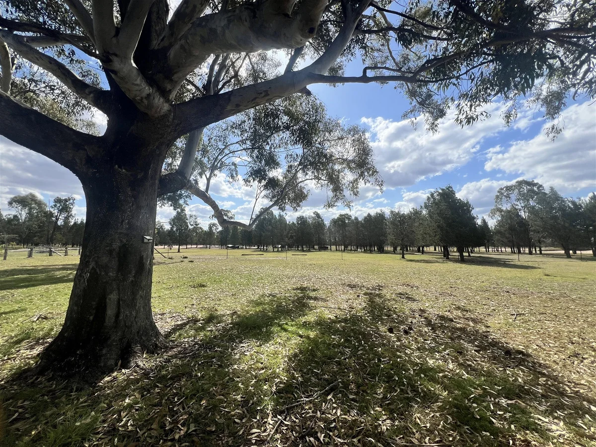 Additional image 35 of 4185 Moonie Highway, Ducklo QLD 4405