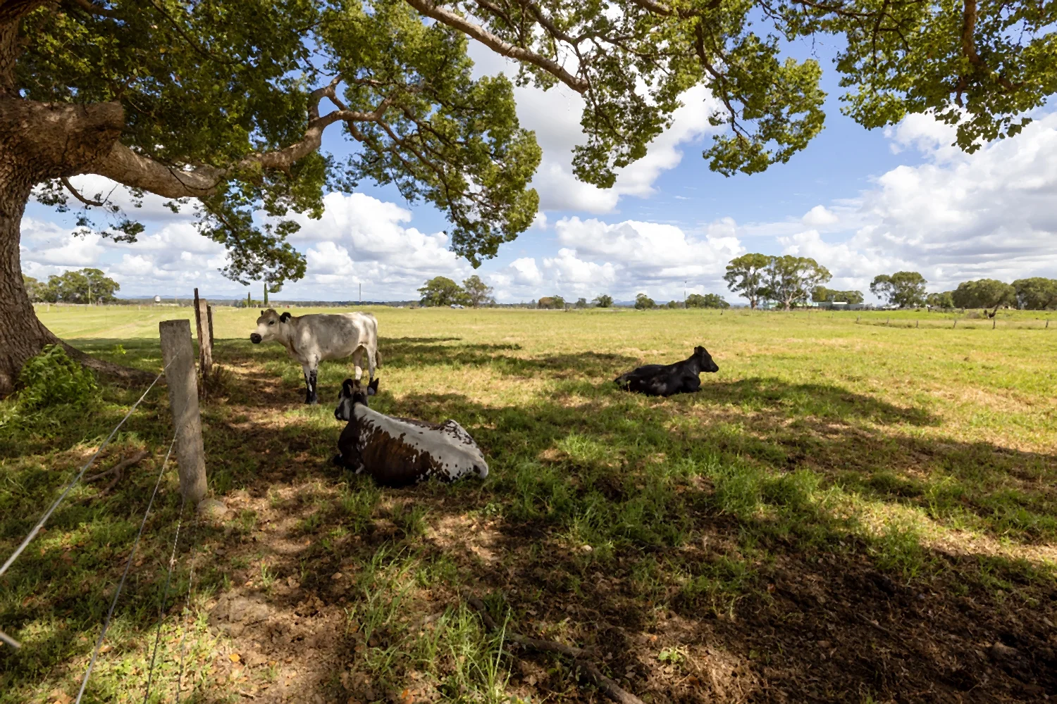 Additional image 38 of 1110 Macleay Valley Way, Bellimbopinni NSW 2440