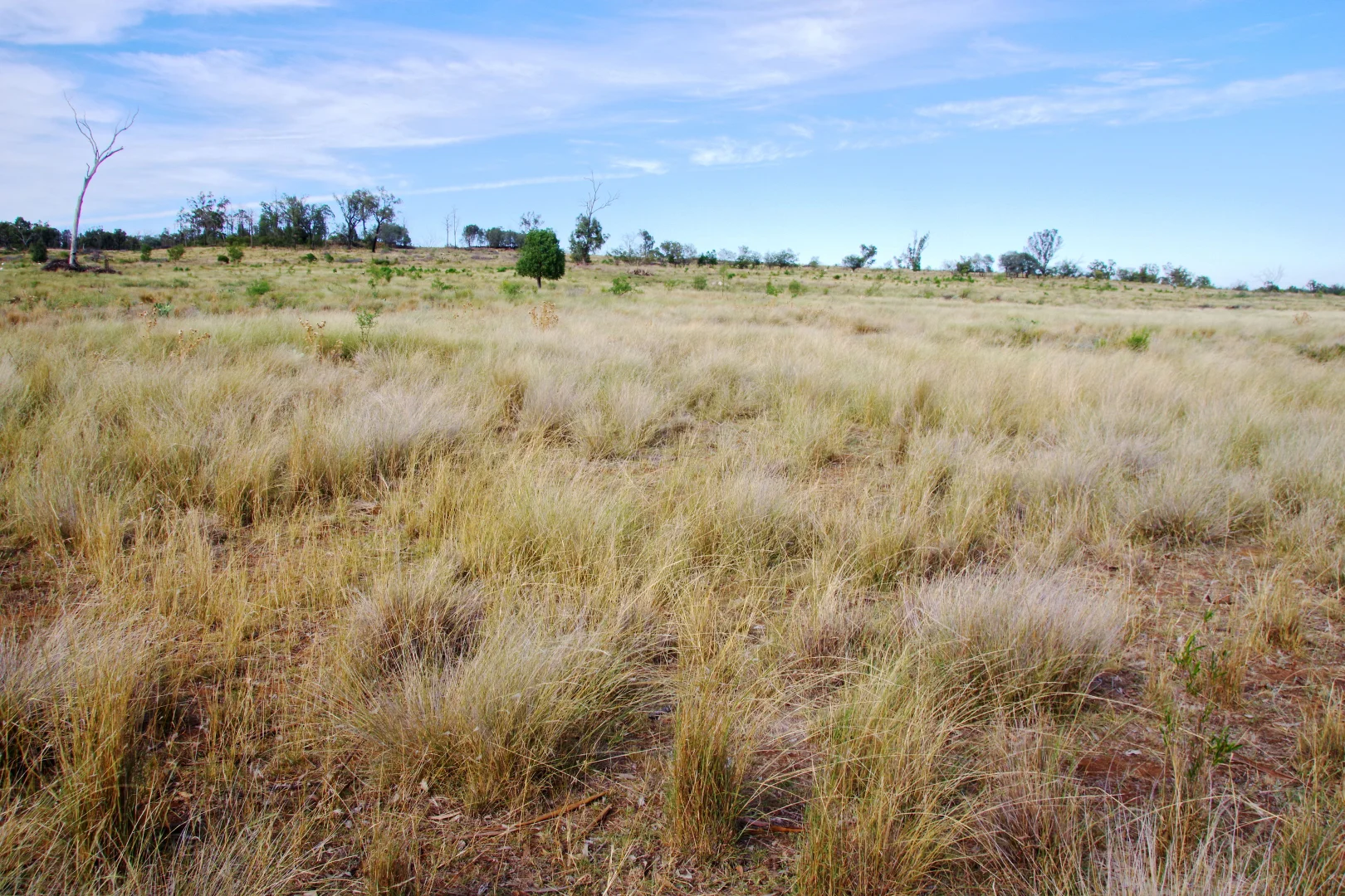 Additional image 26 of 2381. Killarney Gap Road, Narrabri NSW 2390