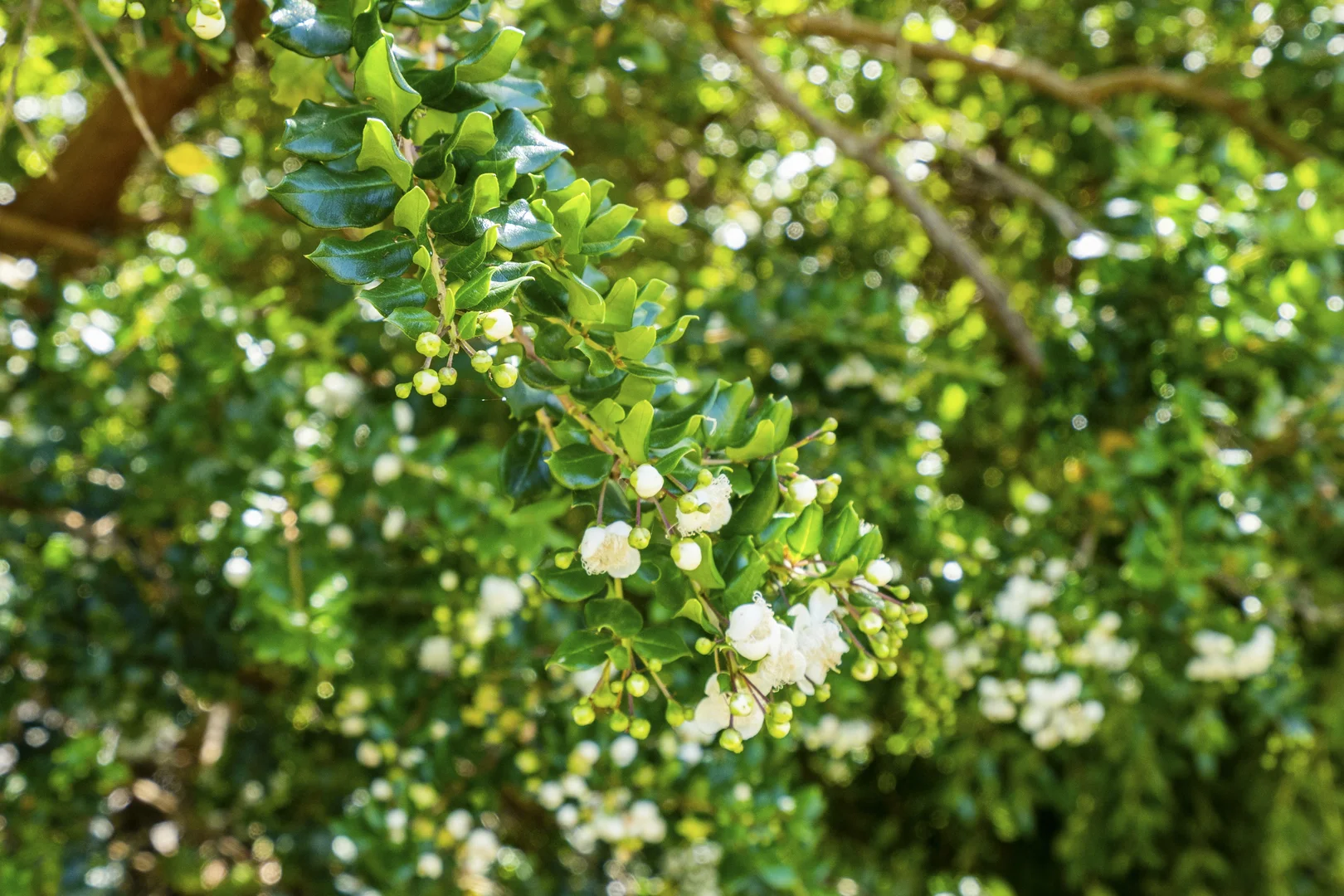 Additional image 27 of 5909 Arthur Highway, Taranna TAS 7180