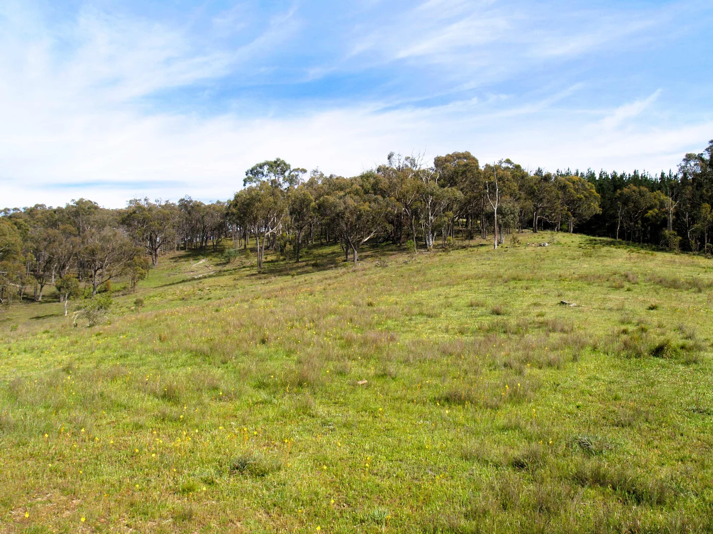 Additional image 12 of 198 Wurungul Lane, Gundaroo NSW 2620