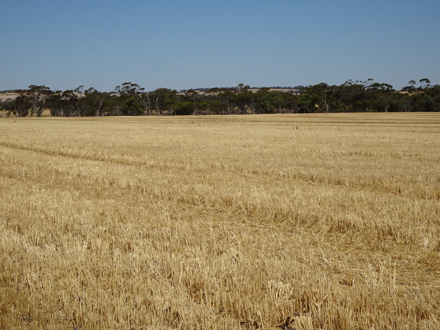 Additional image 17 of 747 Yenellin Road, East Pingelly WA 6308
