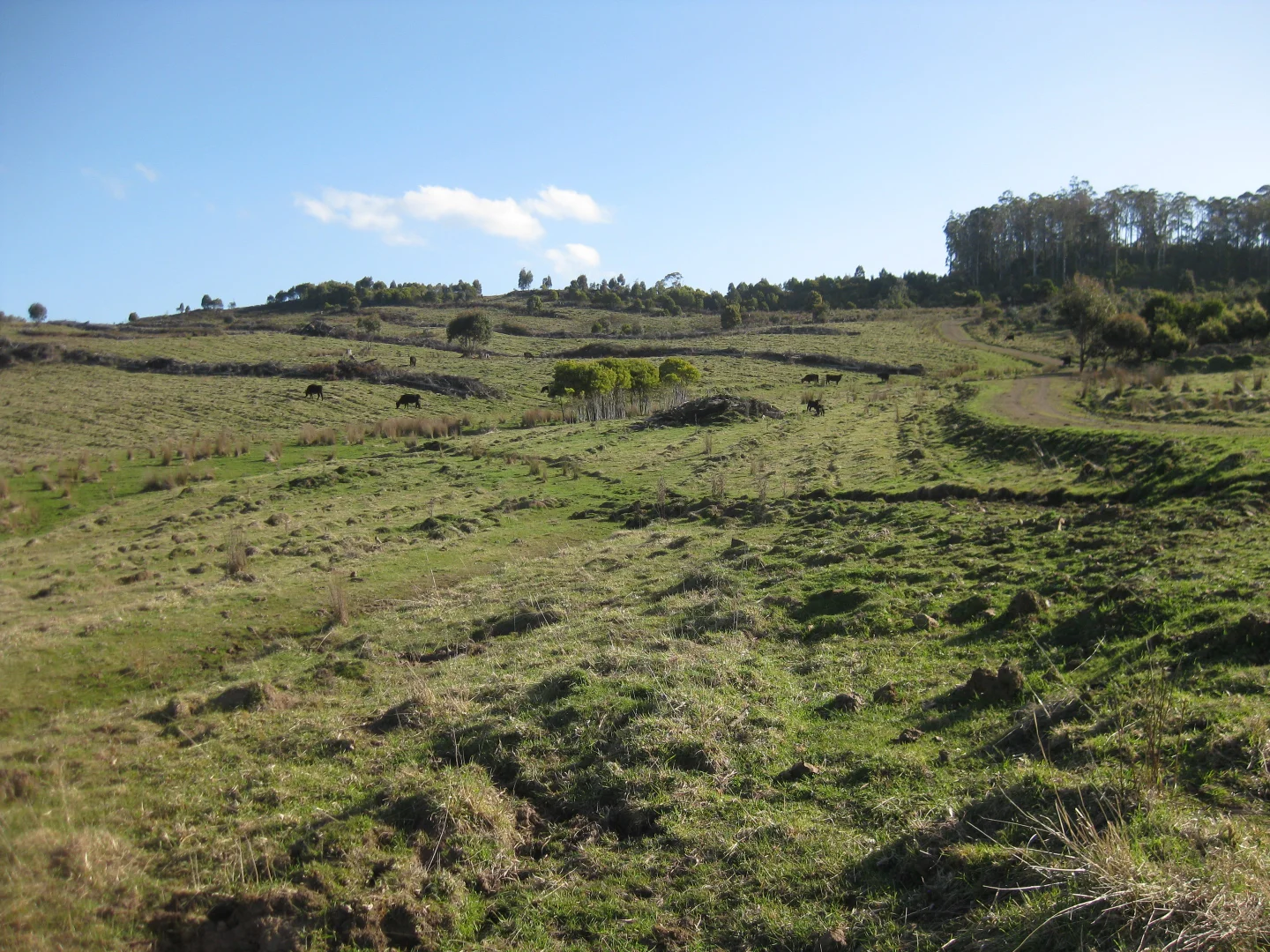 Additional image 14 of 8415 Lyell Highway, Ouse TAS 7140