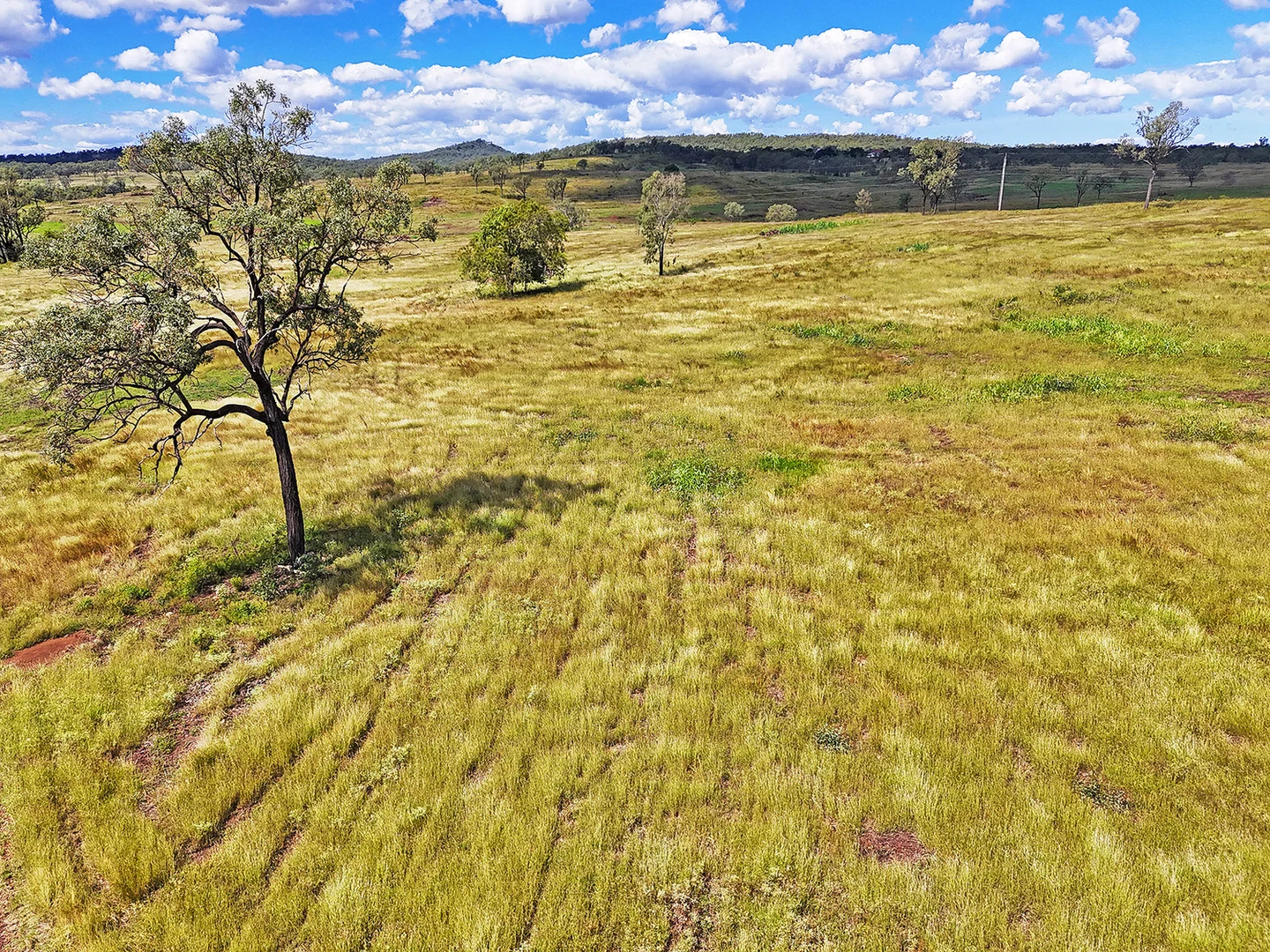Additional image 23 of 0 'Spring Creek' Capricorn Highway, Westwood QLD 4702