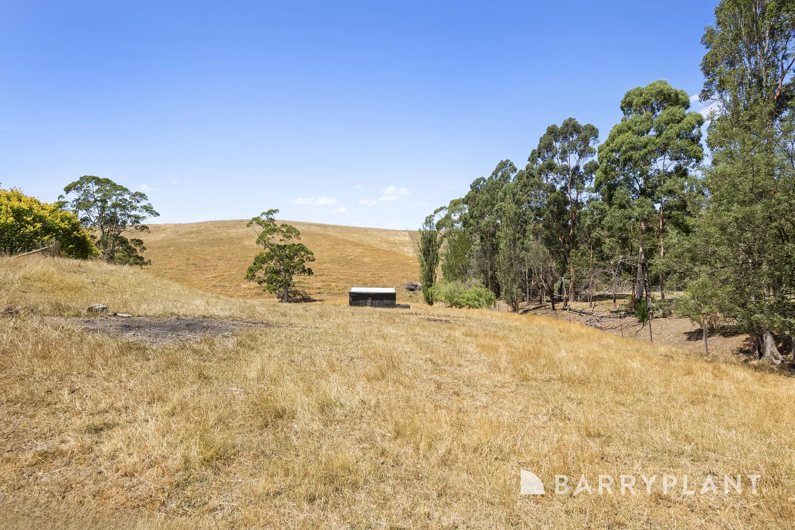 Additional image 23 of 200 Ogilvys Lane, Poowong VIC 3988