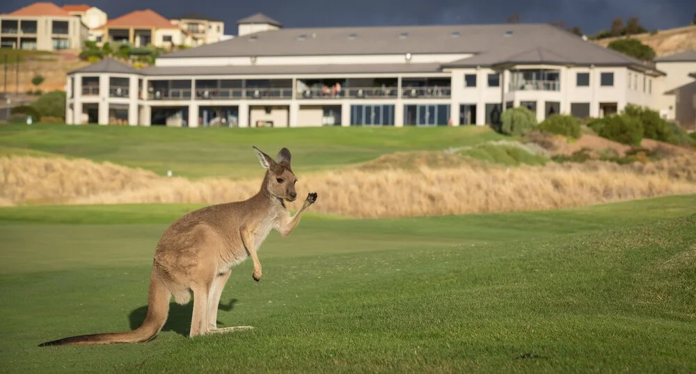 Additional image 2 of 9 Birkdale Street, Normanville SA 5204