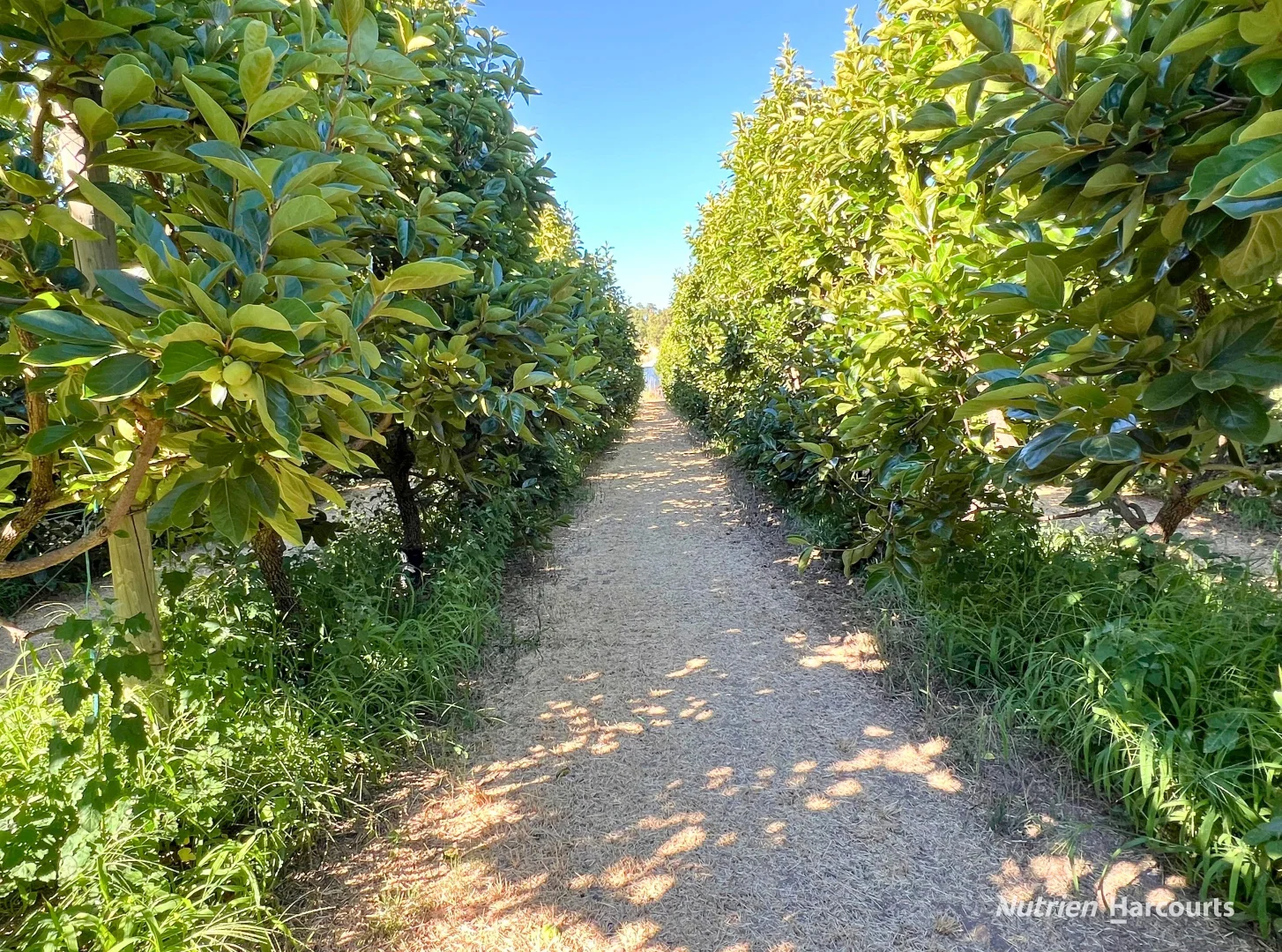 Additional image 7 of Lot 21 Brookton Highway, Karragullen WA 6111