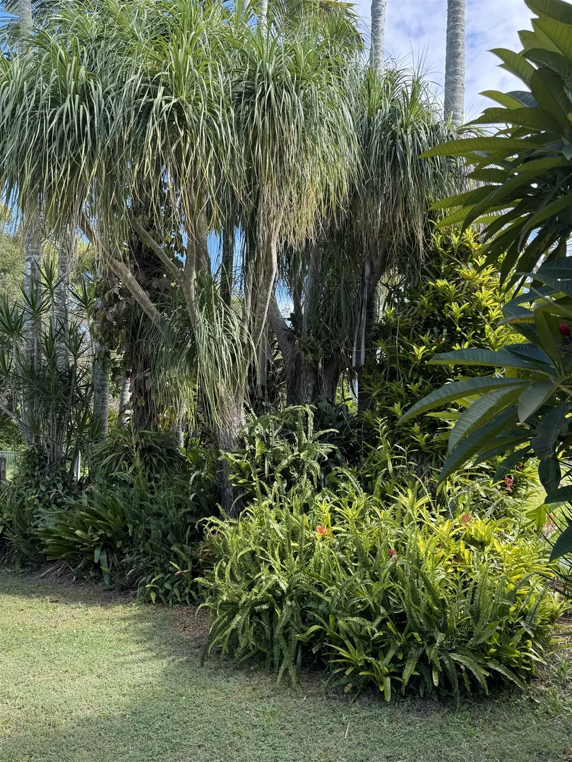 Additional image 22 of 42 Worendo St, Wiangaree NSW 2474