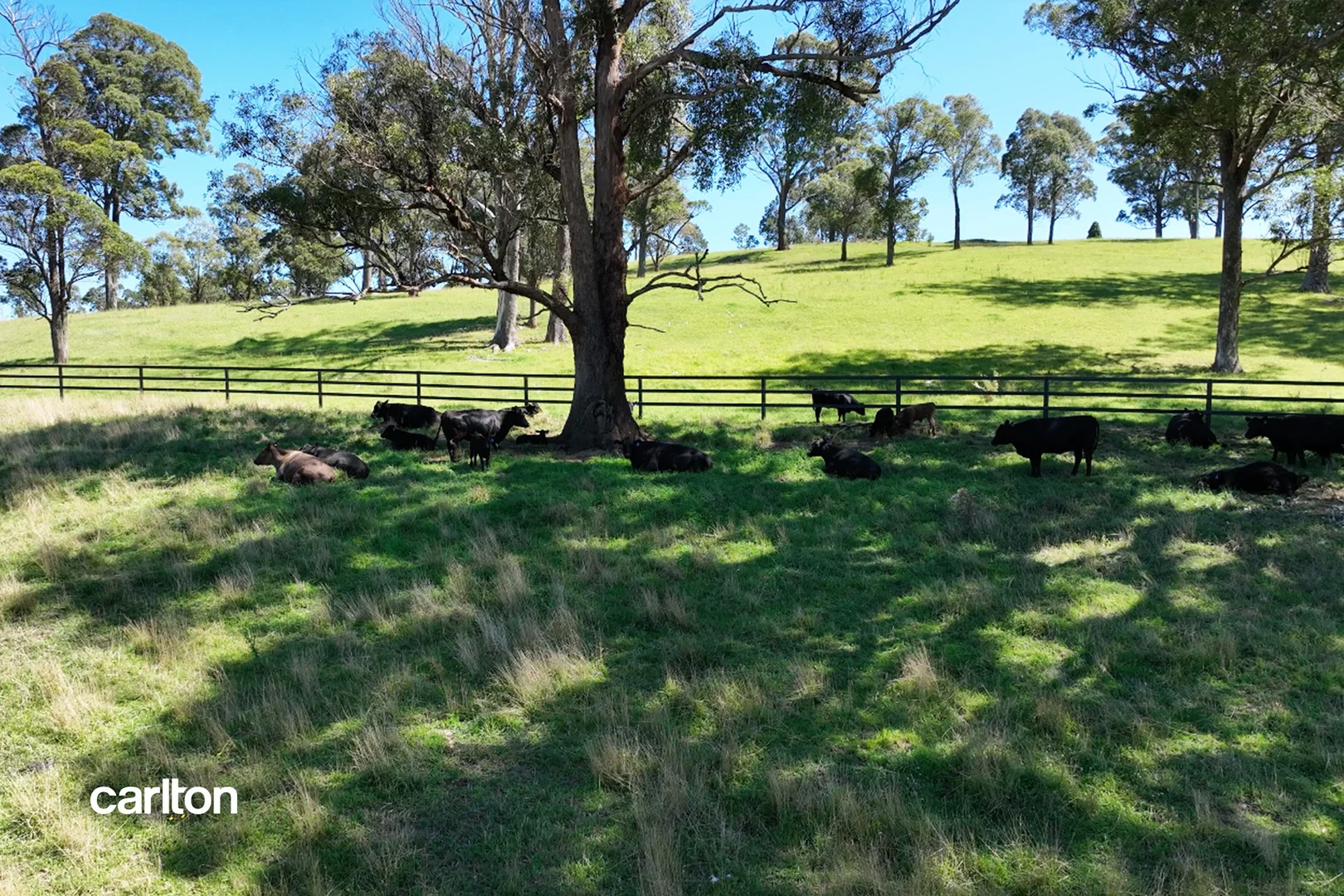 Additional image 4 of 290 Old South Road, Alpine NSW 2575