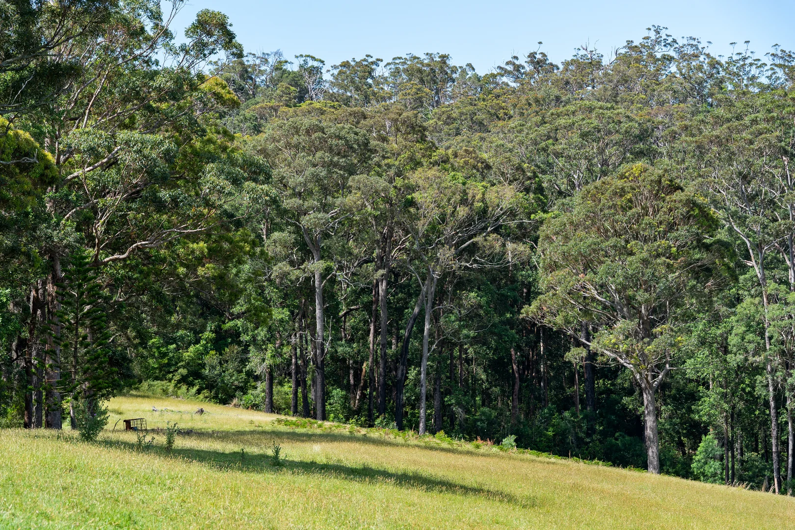Additional image 18 of 106C Porters Creek Road, Yatte Yattah NSW 2539