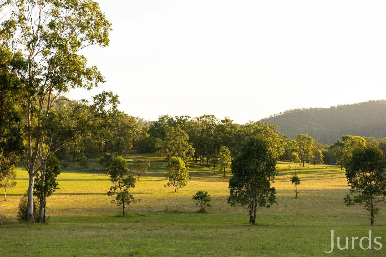 Additional image 36 of 1066 Wollombi Road, Broke NSW 2330