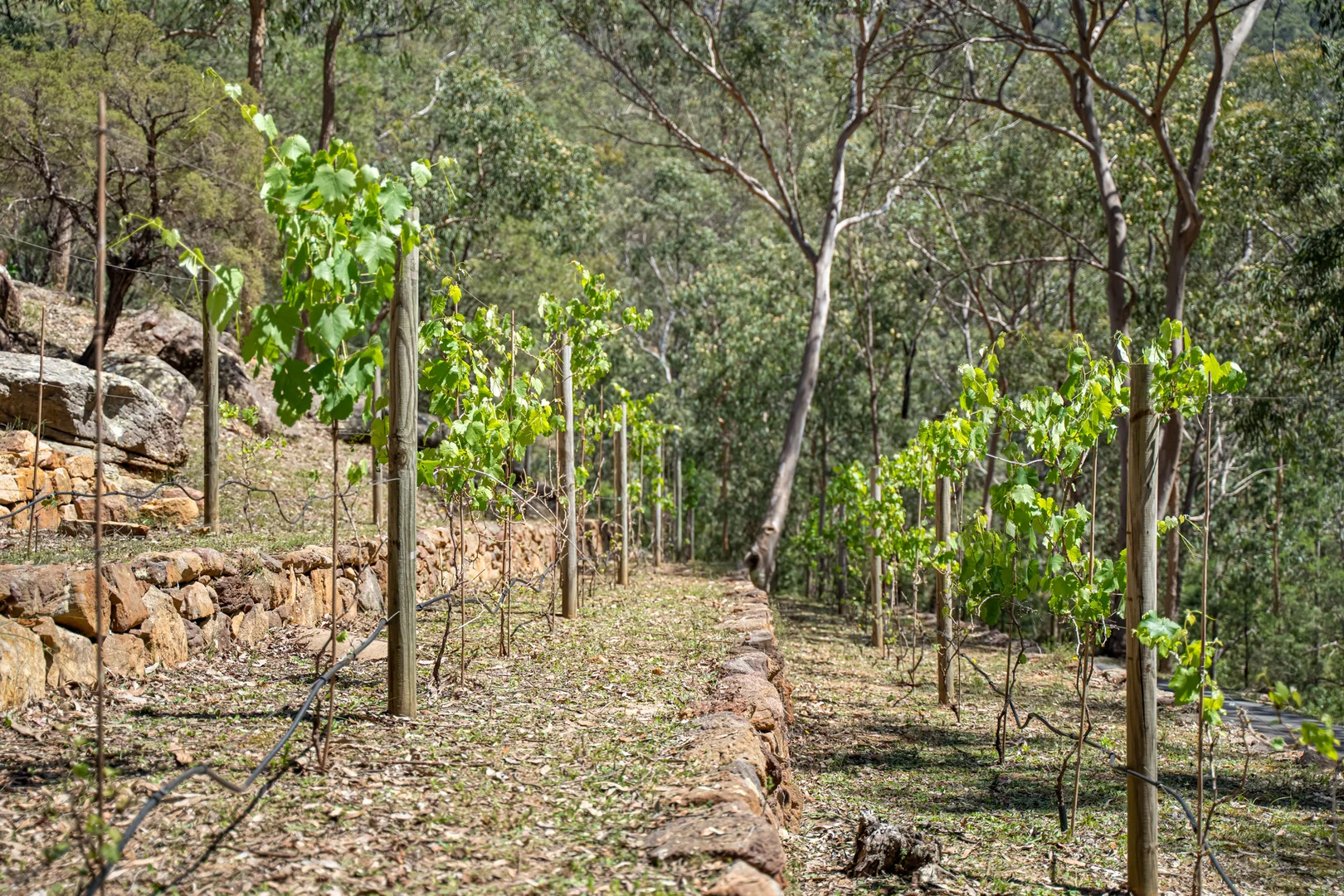 Additional image 33 of 1632 Settlers Rd, St Albans NSW 2775