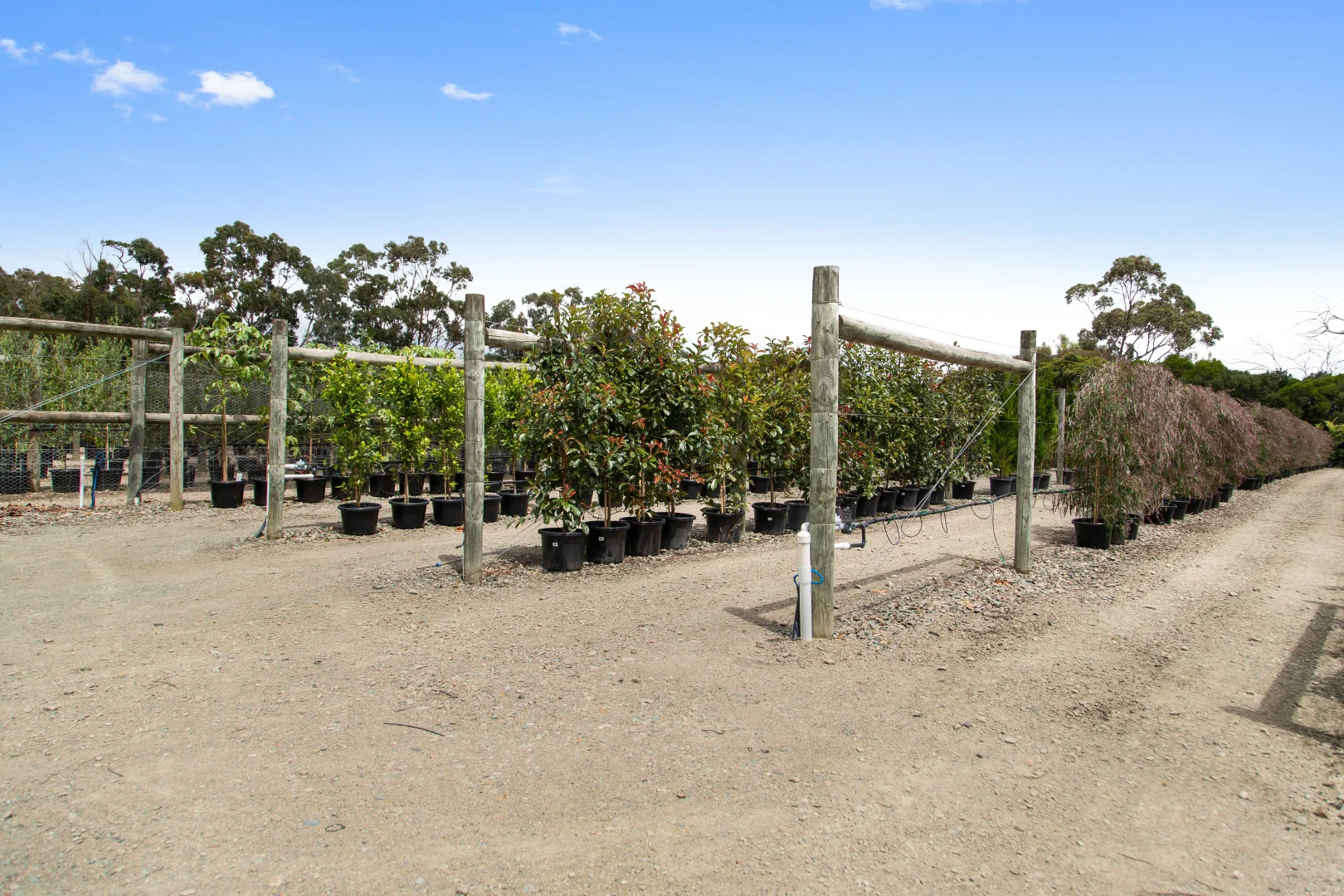 Additional image 33 of 218/218a Coolart Road, Moorooduc VIC 3933