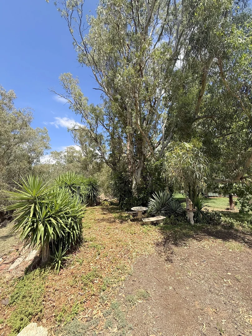 Additional image 67 of 506 North Forbes Rd, Condobolin NSW 2877