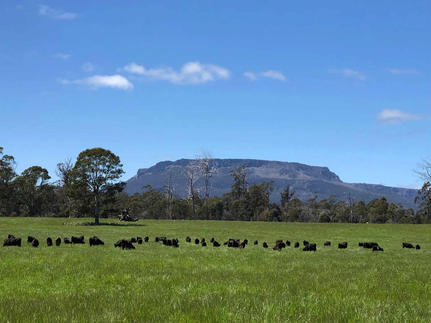 Additional image 22 of 560 Gads Hill Road, Mersey Forest TAS 7304