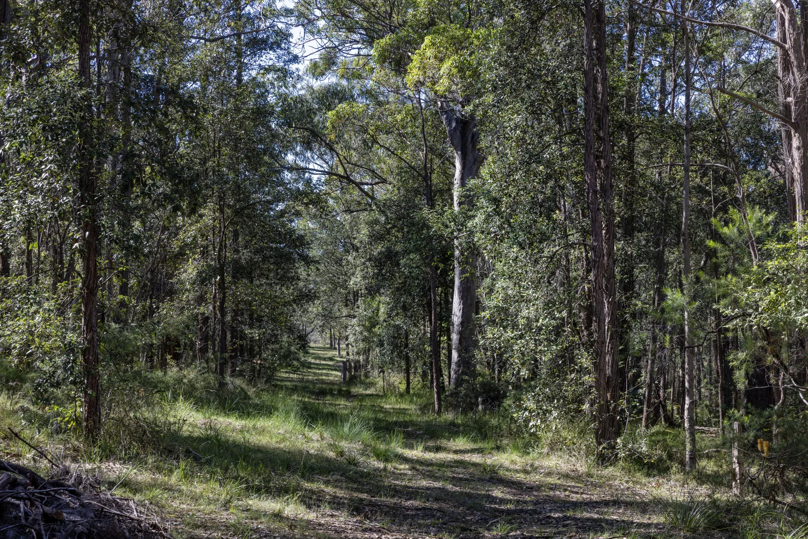 Additional image 21 of 1195 Illaroo Road, Tapitallee NSW 2540