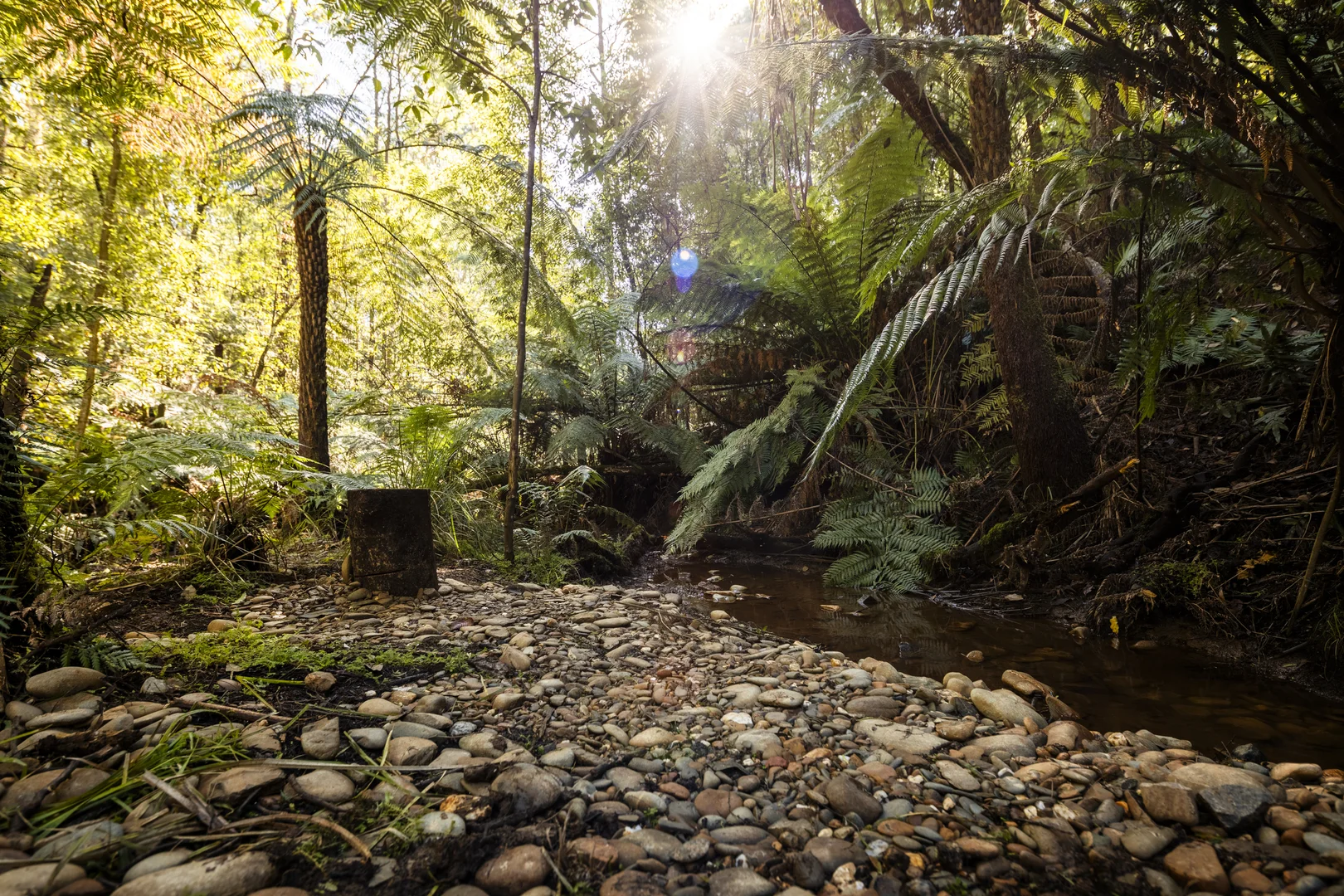 Additional image 16 of 38 Amphlett Avenue, Cockatoo VIC 3781