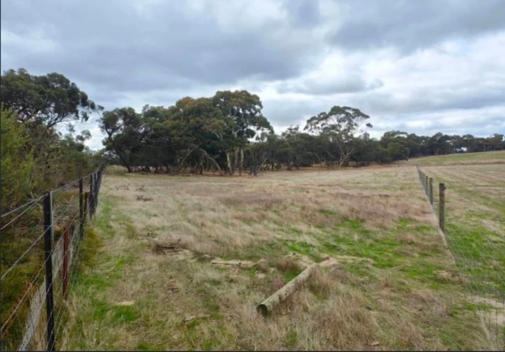 1580 padthaway road,, Mundulla West SA 5270