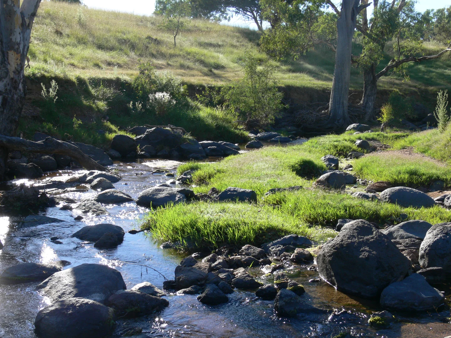 Additional image 12 of Dicksons, 0 Bennett Springs Road, Cowra NSW 2794