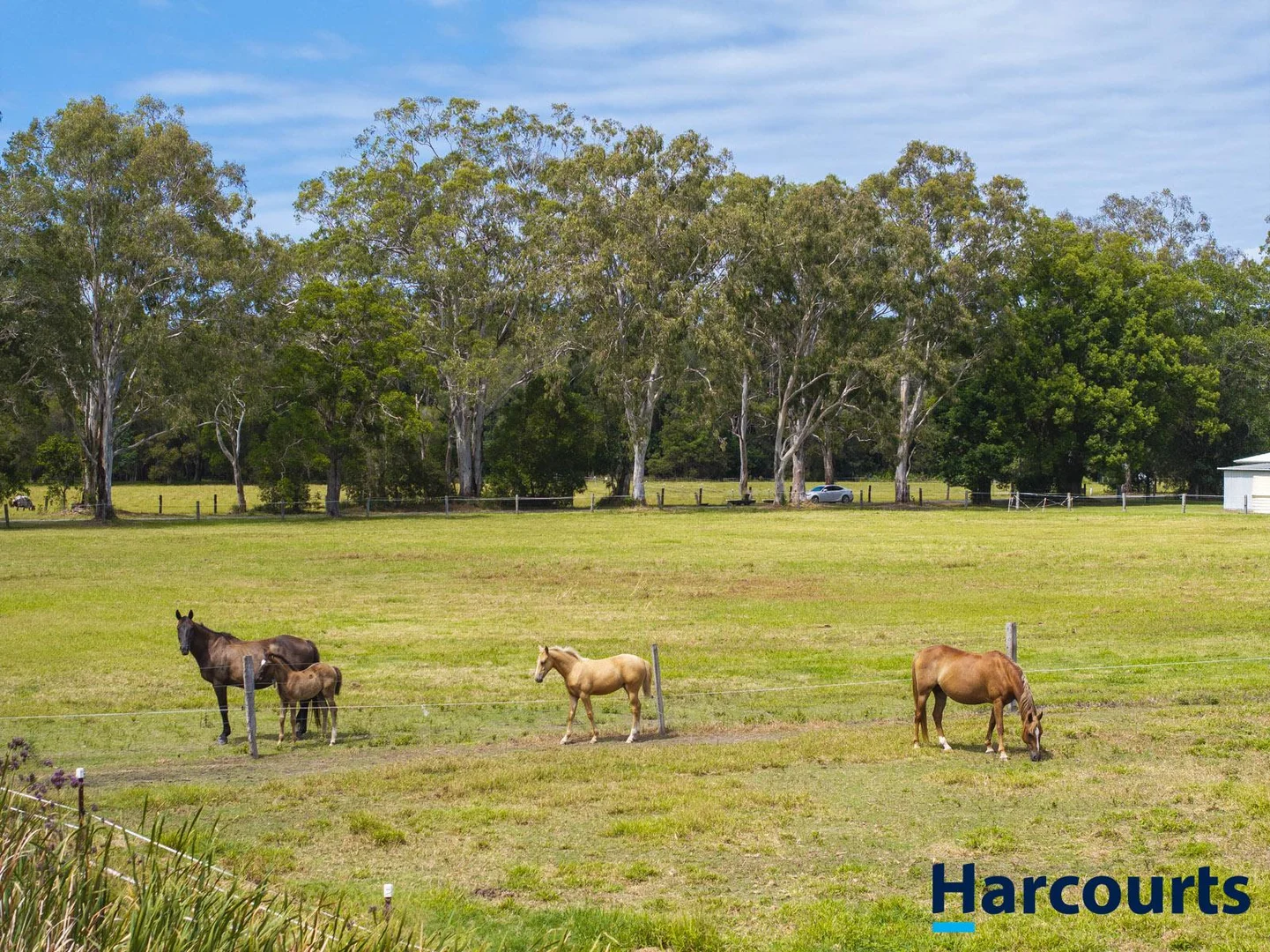 Additional image 58 of 406 Old Bagotville Road, Bagotville NSW 2477