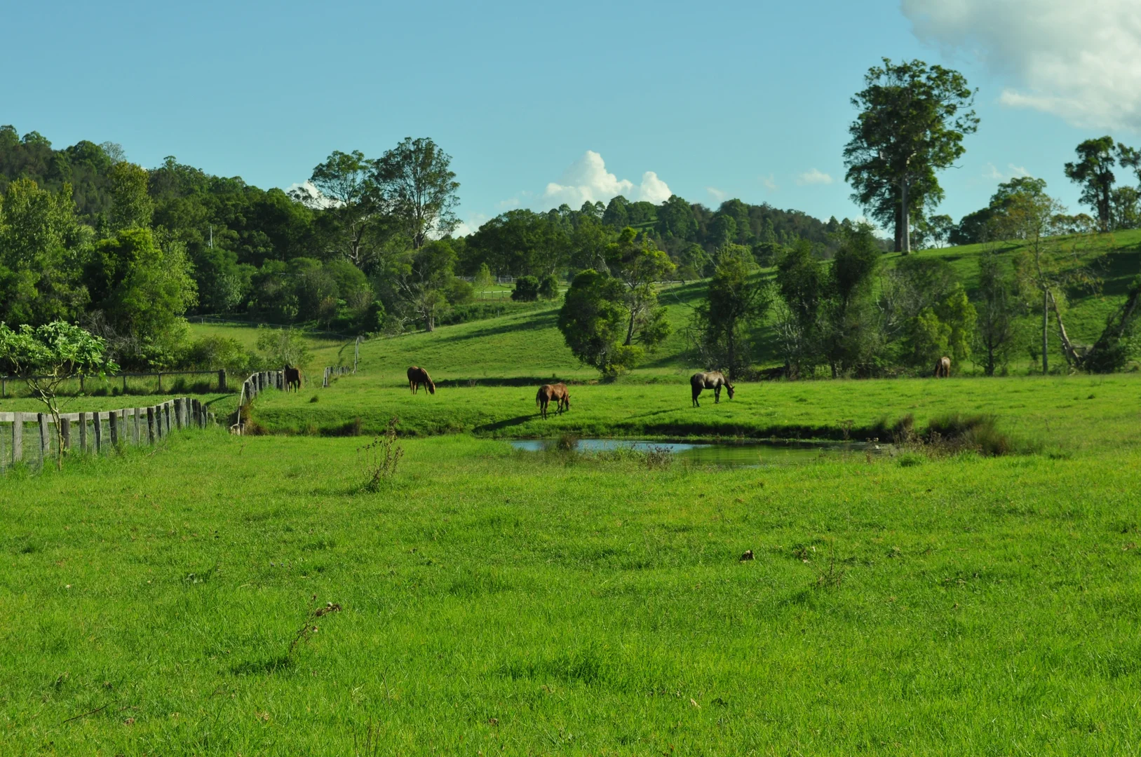 Additional image 22 of 1554 & 1598 Rollands Plains Road, Rollands Plains NSW 2441