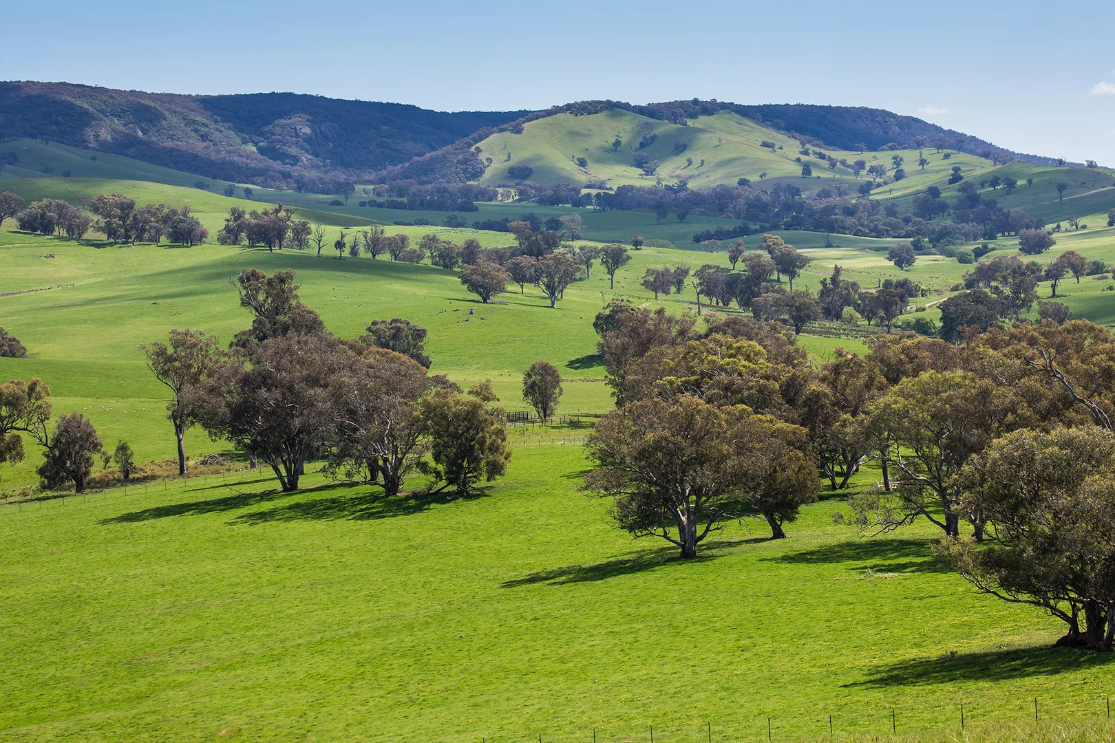 Additional image 3 of Holbrook NSW 2644
