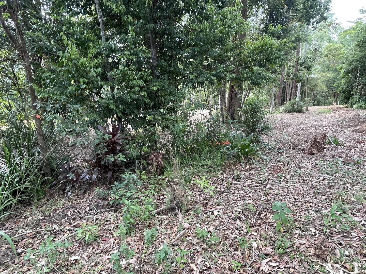 Additional image 17 of Lot 3-9/3 Penda Street, Yungaburra QLD 4884