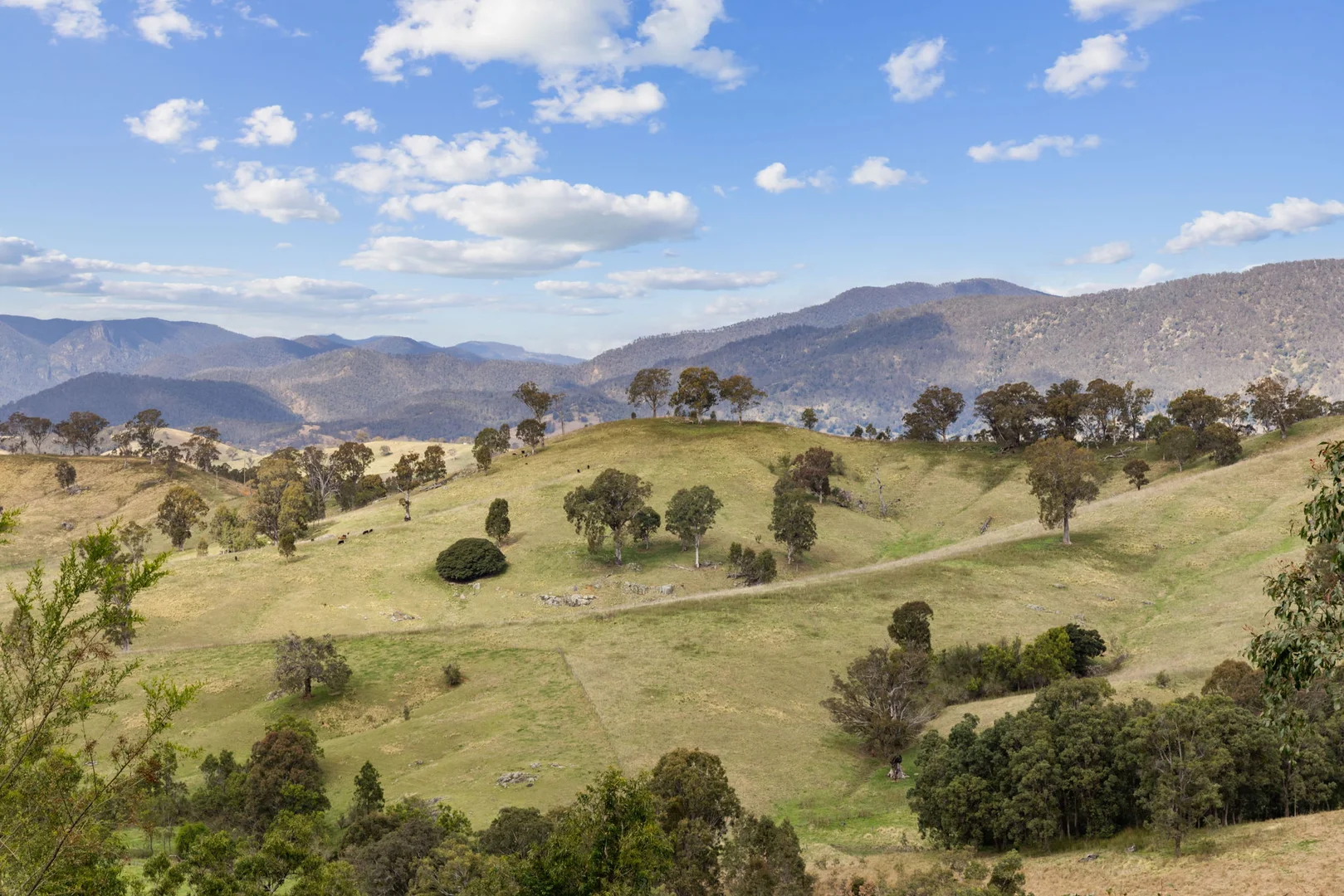 Additional image 28 of 322 Neringla Road, Braidwood NSW 2622