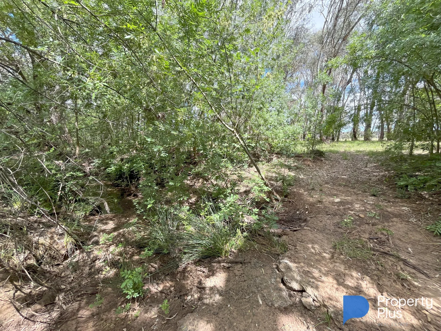 Additional image 12 of CA 14 & CA 21 Harpers Lane, Wedderburn VIC 3518