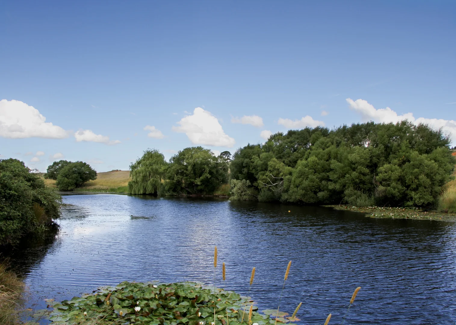 Additional image 2 of 149 Chinamans Lane, Goulburn NSW 2580